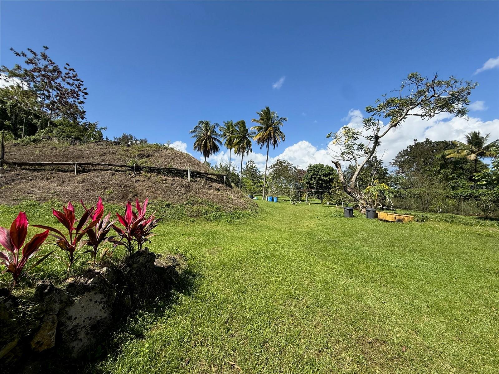 GUAYNABO — foto 11