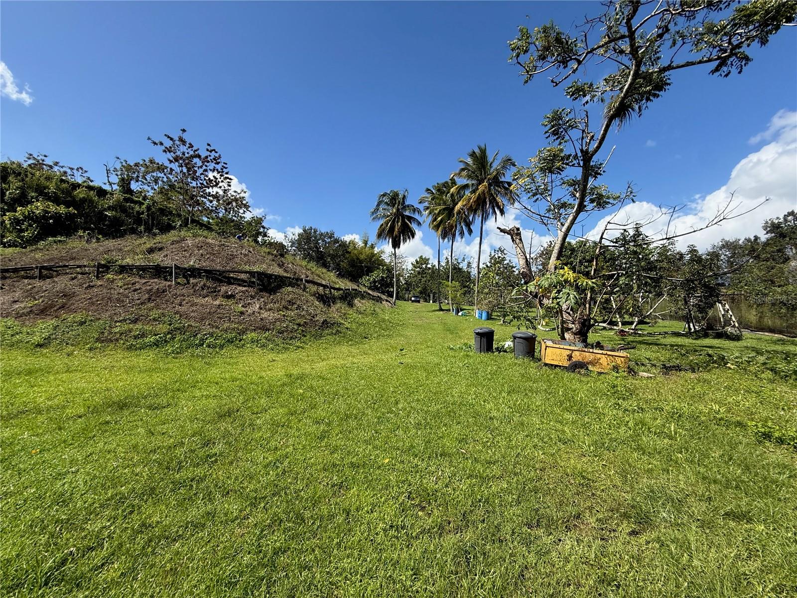 GUAYNABO — foto 12
