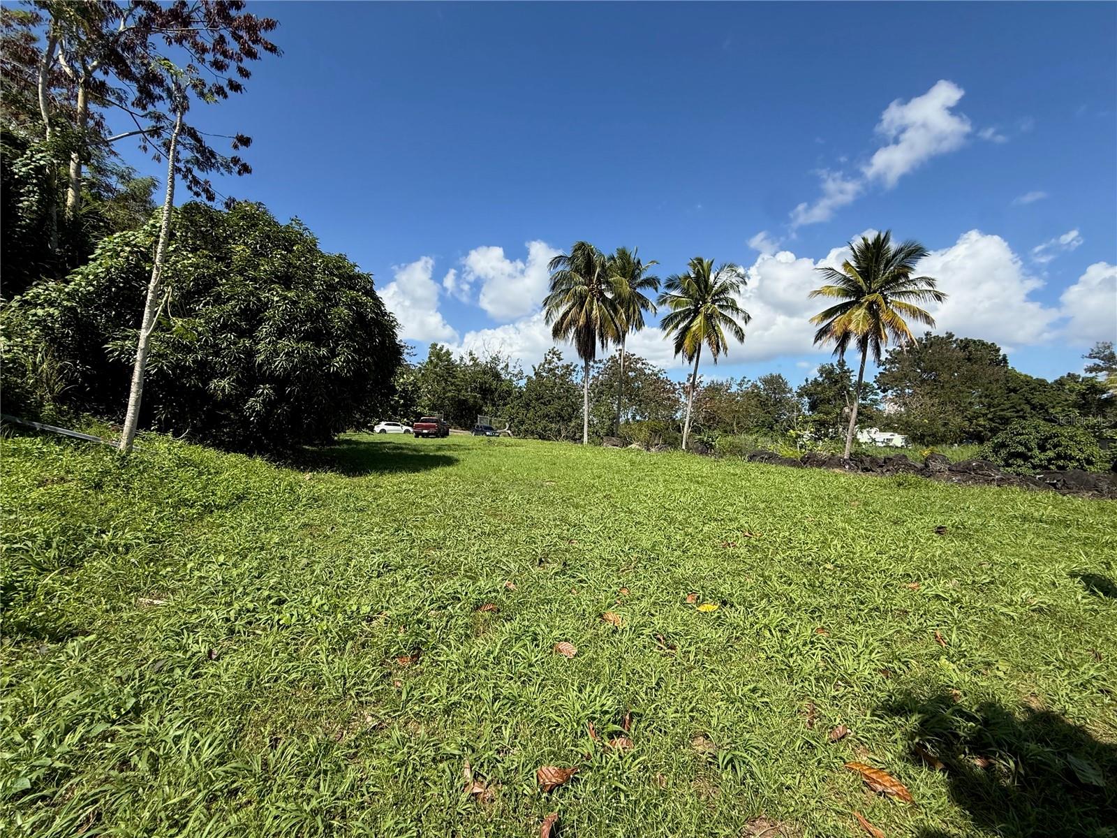 GUAYNABO — foto 7
