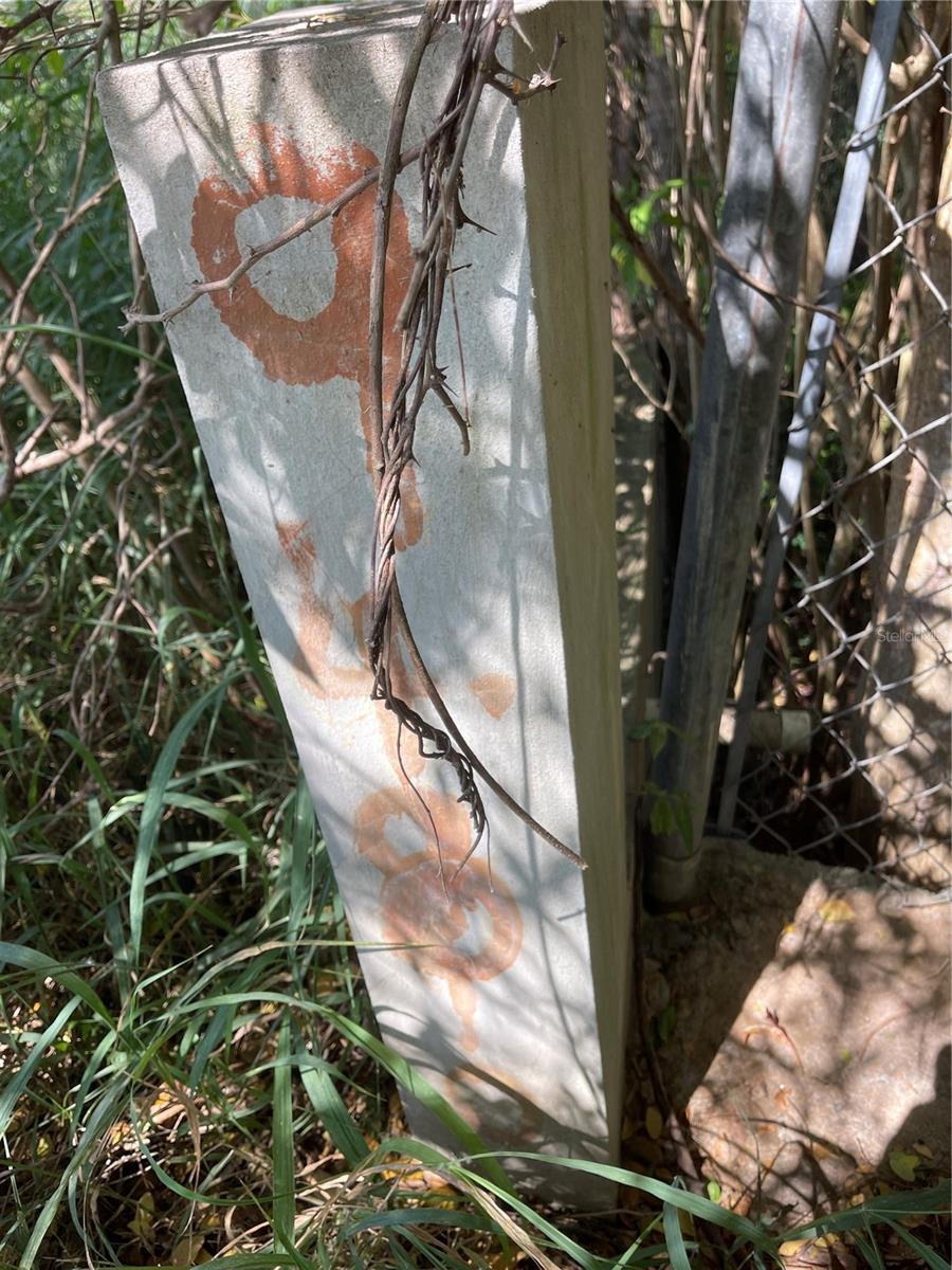 CABO ROJO — foto 11