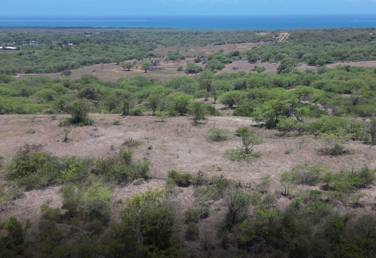 CABO ROJO — foto 3