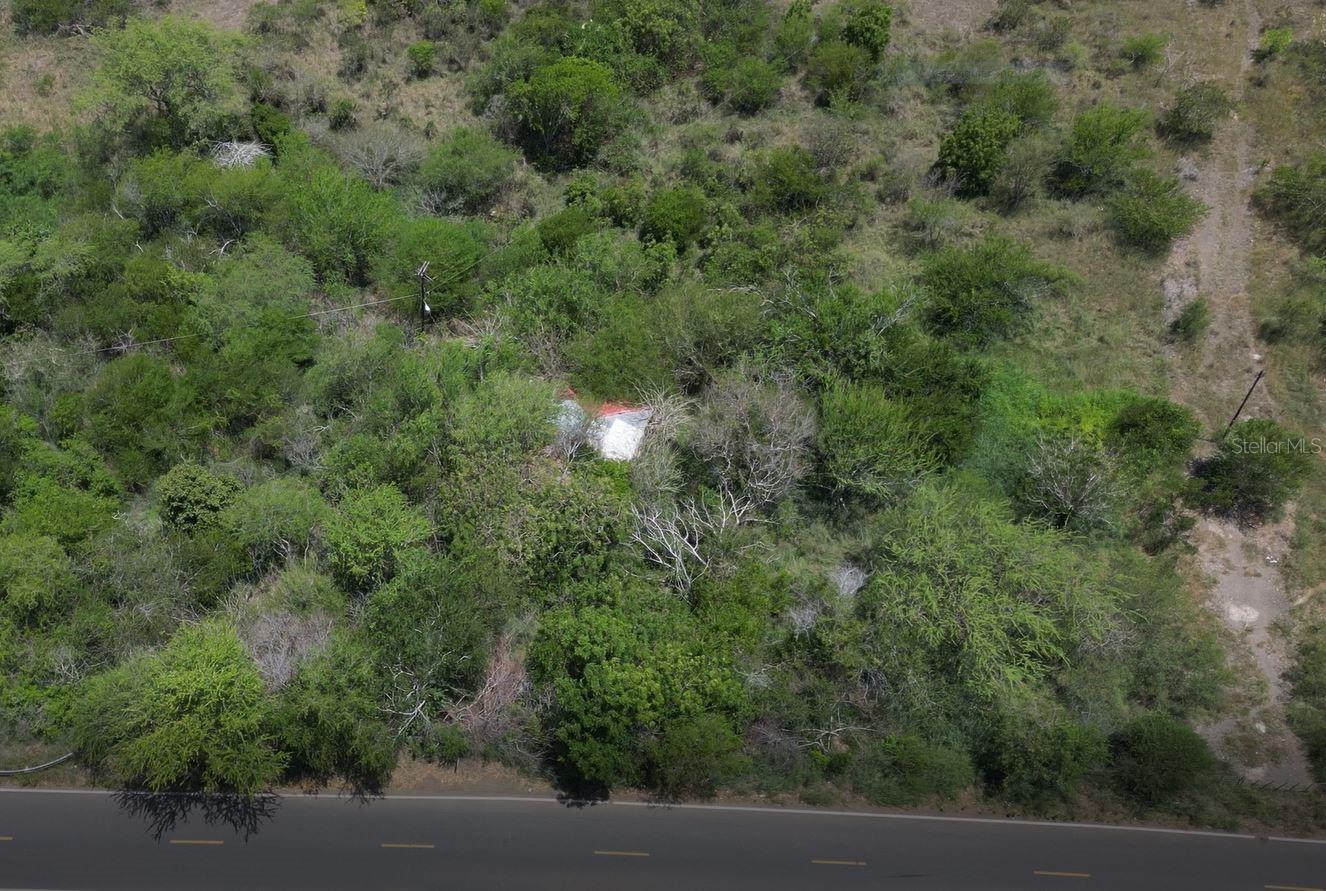 CABO ROJO — foto 10