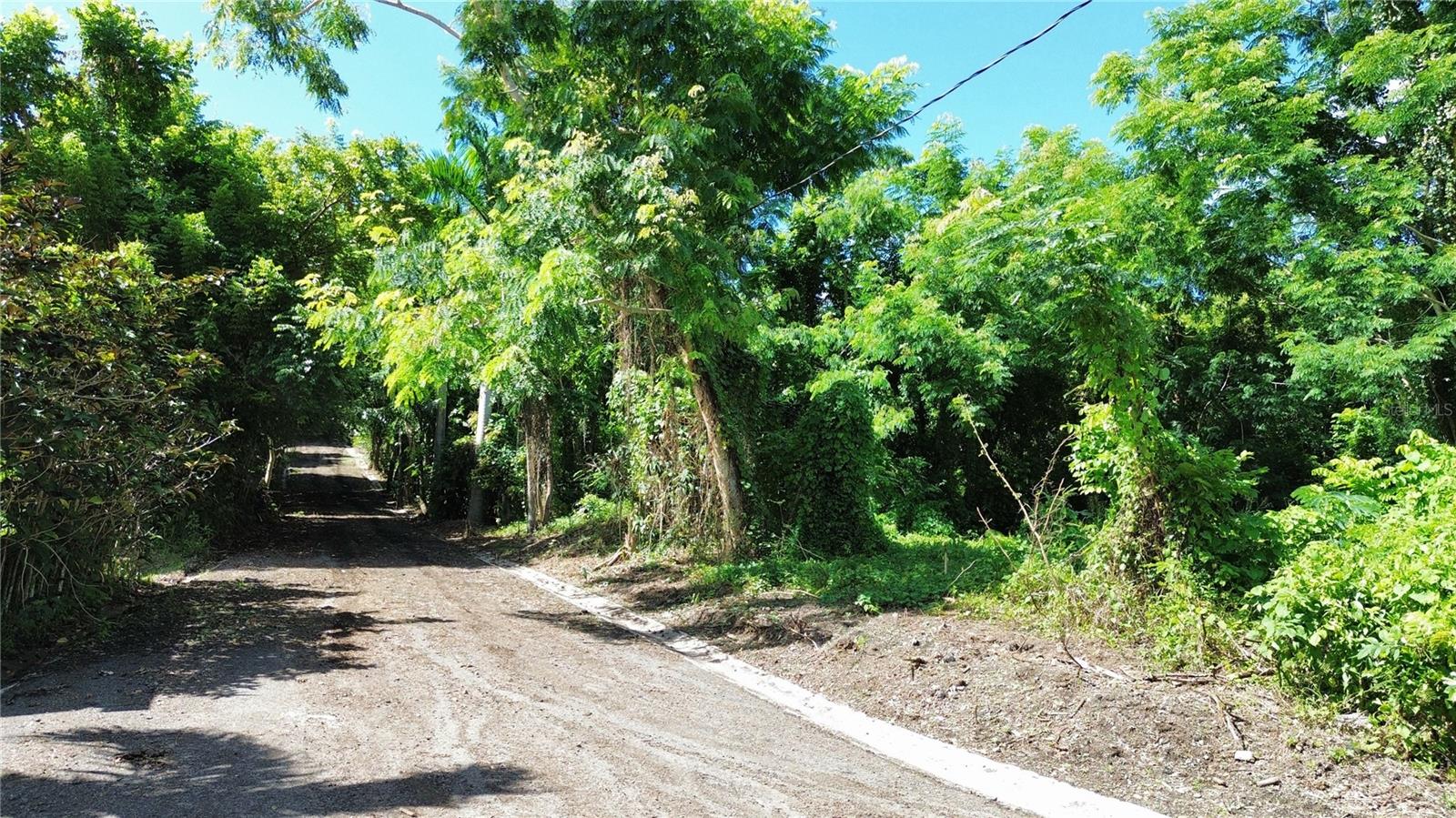 LUQUILLO — foto 4