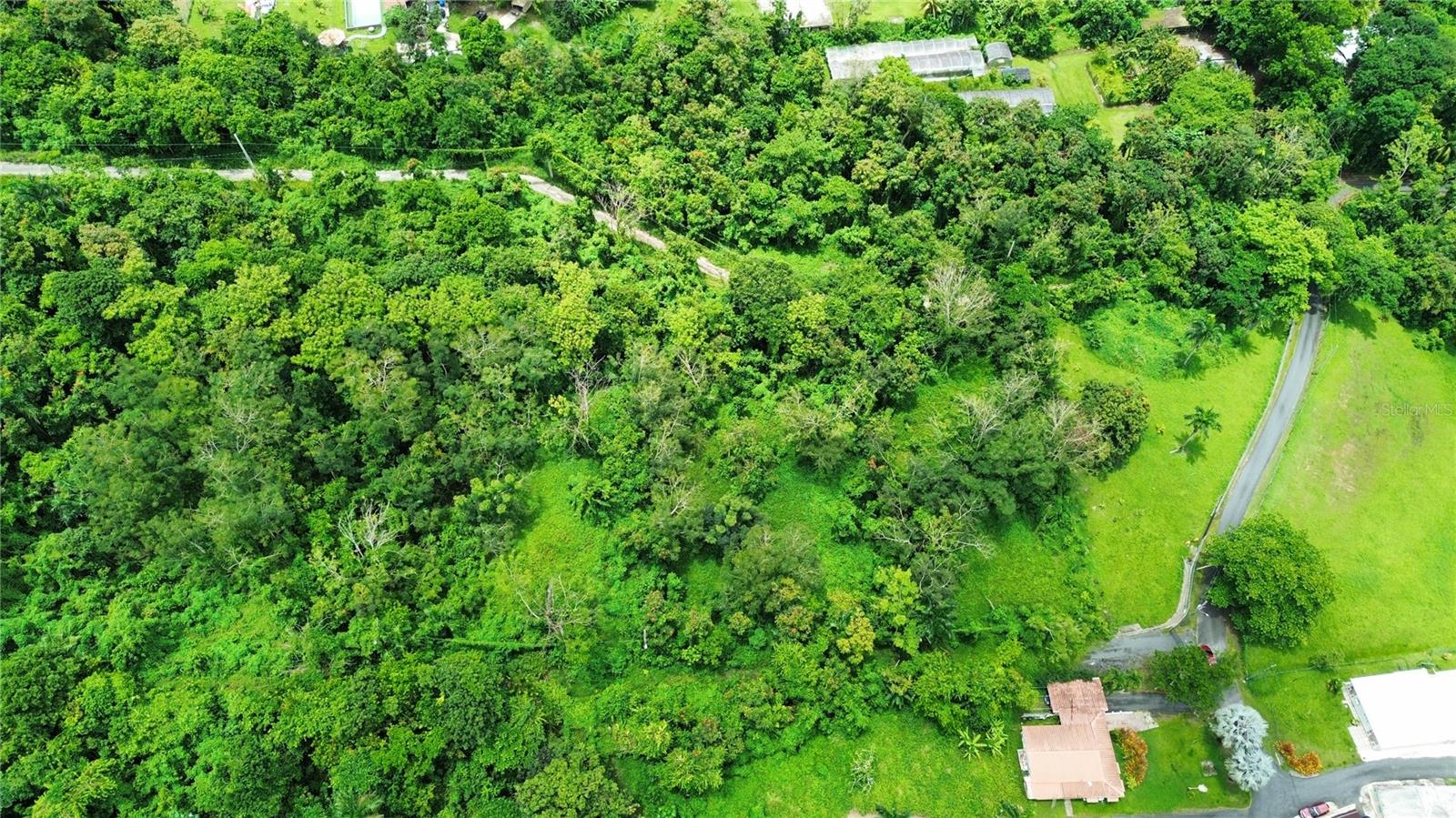 LUQUILLO — foto 2