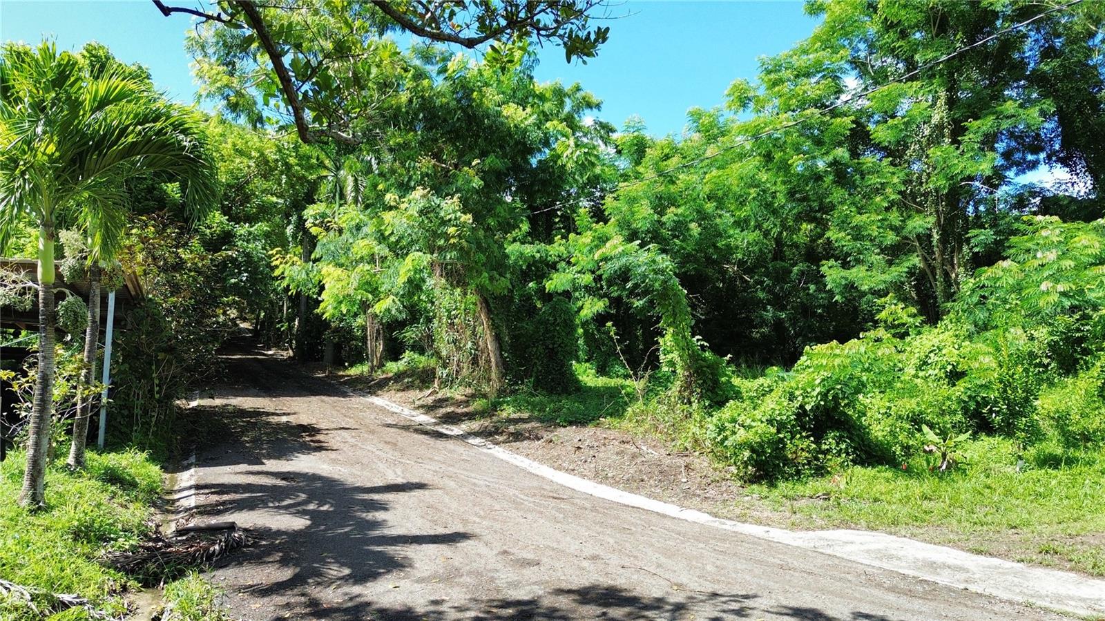 LUQUILLO — foto 4
