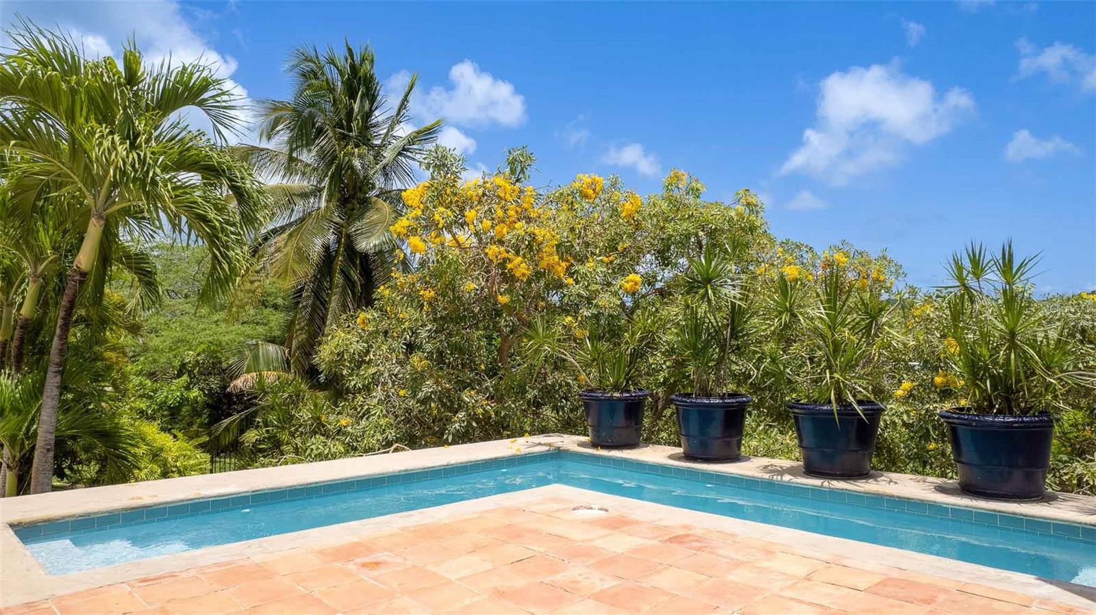 3 hab · 3 baños · VIEQUES — foto 6