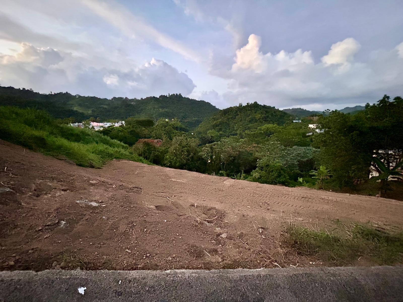 NARANJITO — foto 3