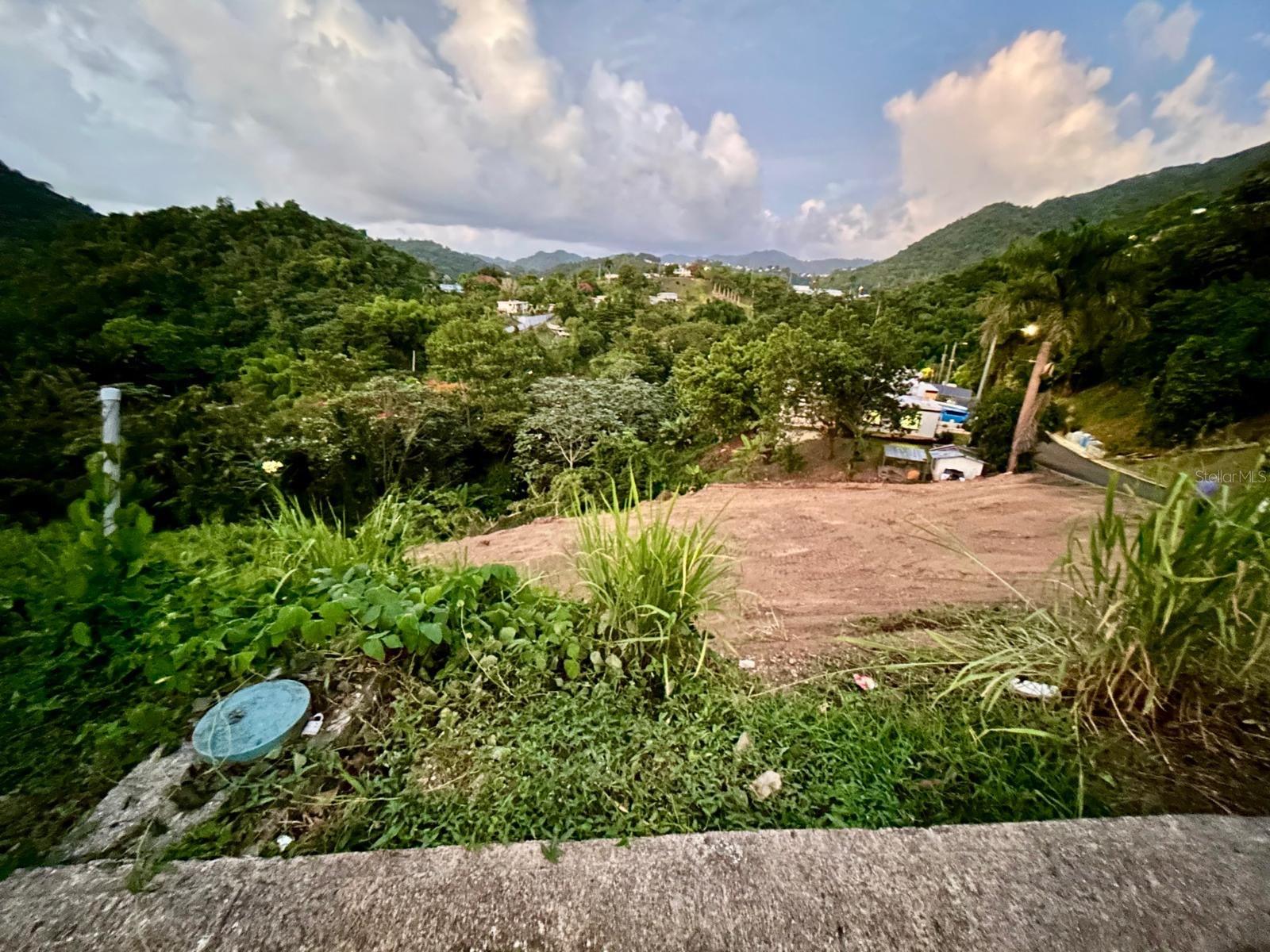 NARANJITO — foto 4