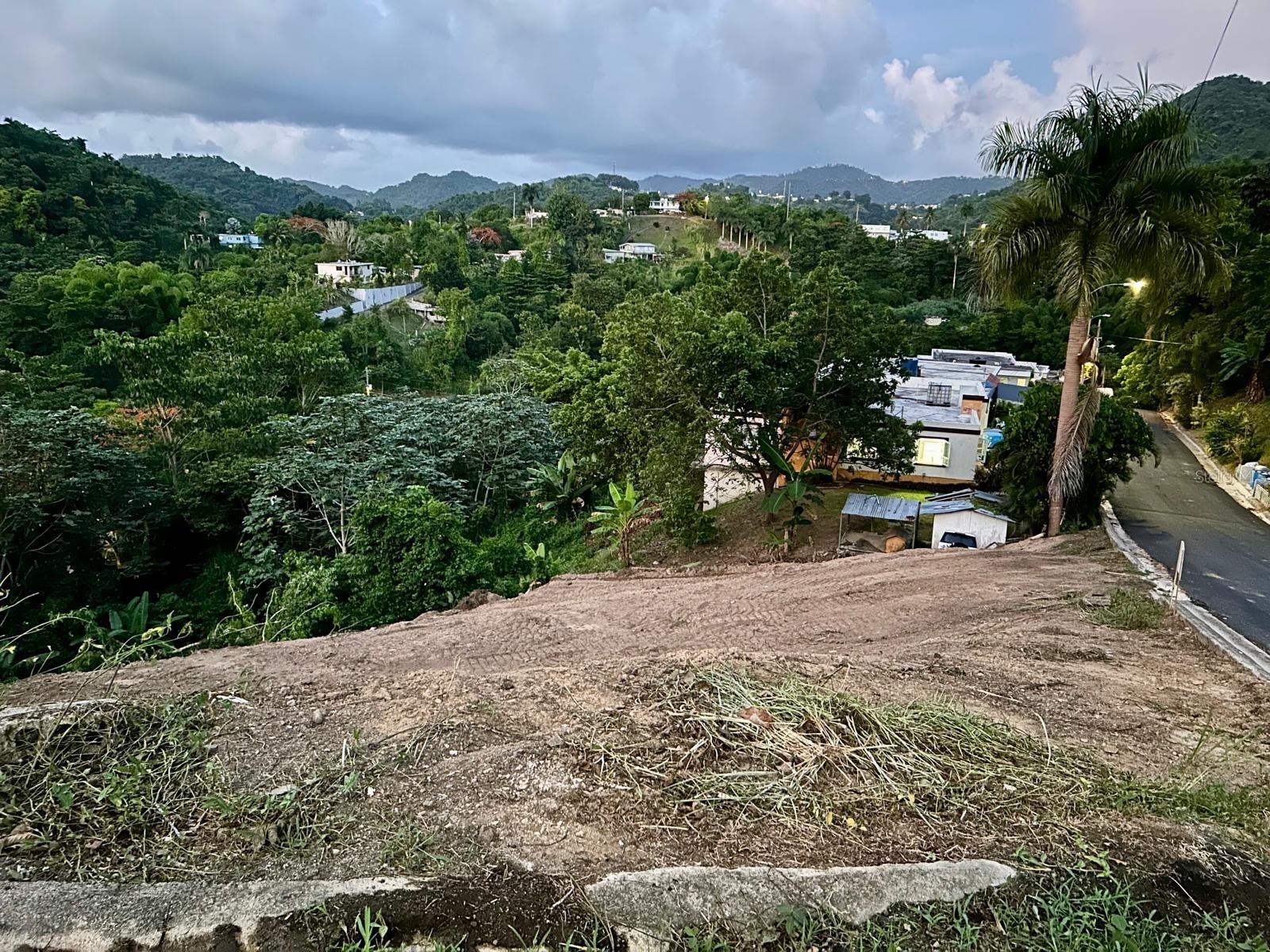 NARANJITO — foto 5