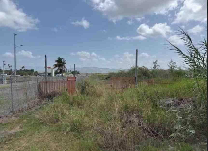 JUANA DIAZ — foto 2