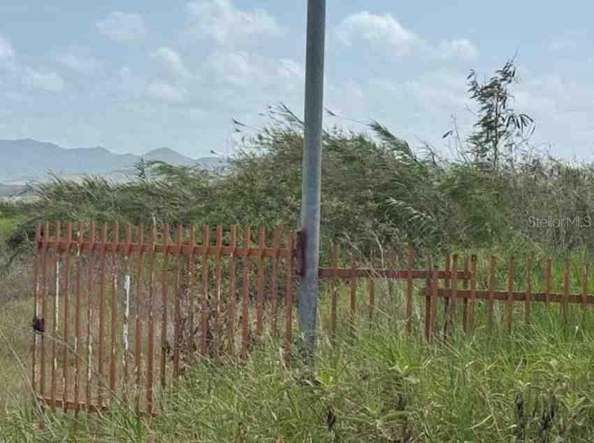 JUANA DIAZ — foto 6