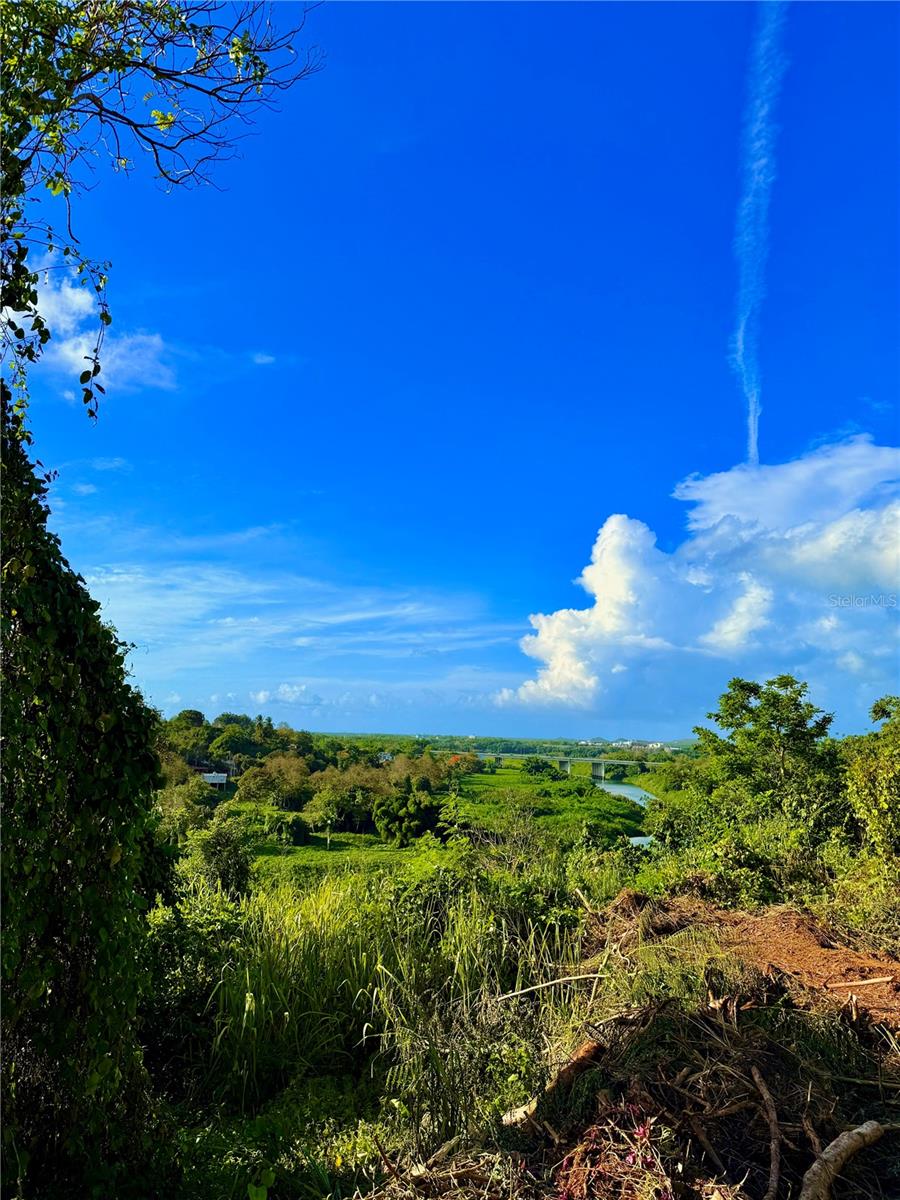 CAROLINA — foto 6
