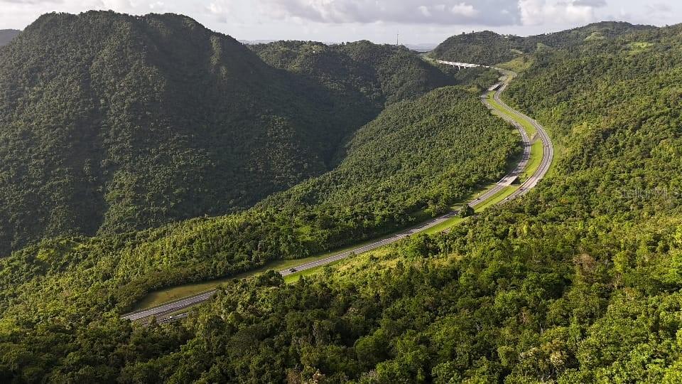 CAYEY