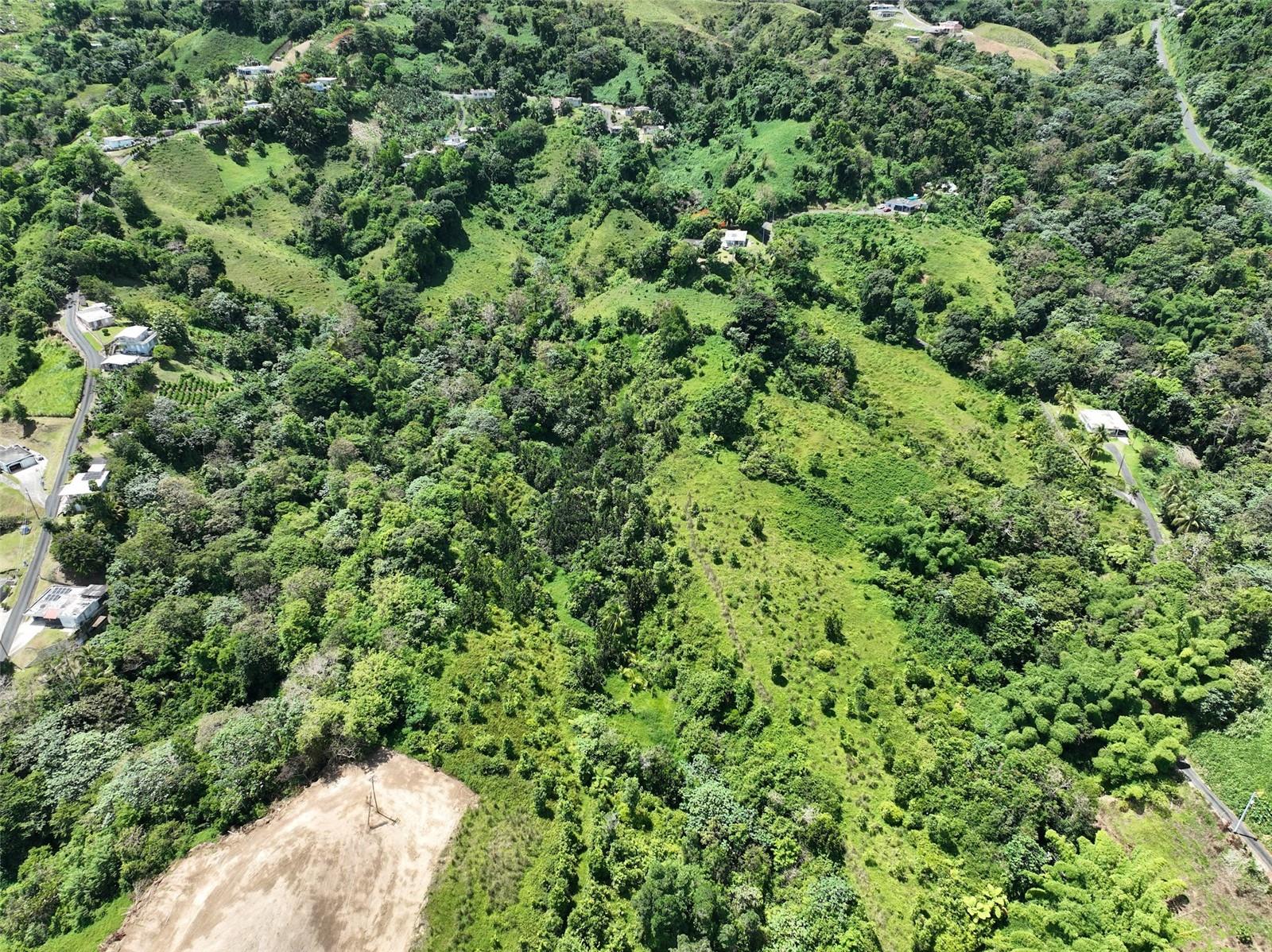 YABUCOA