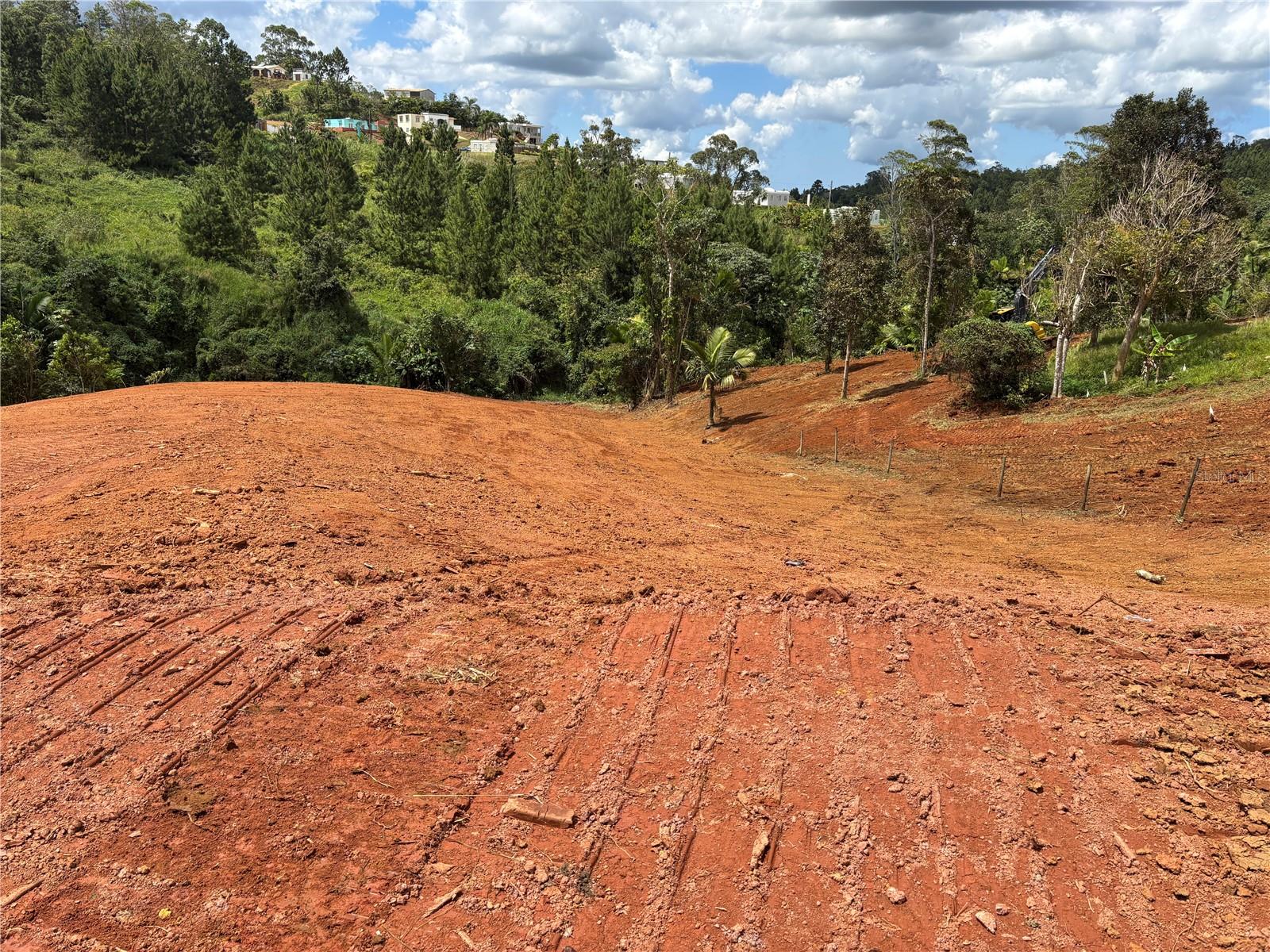 OROCOVIS — foto 12