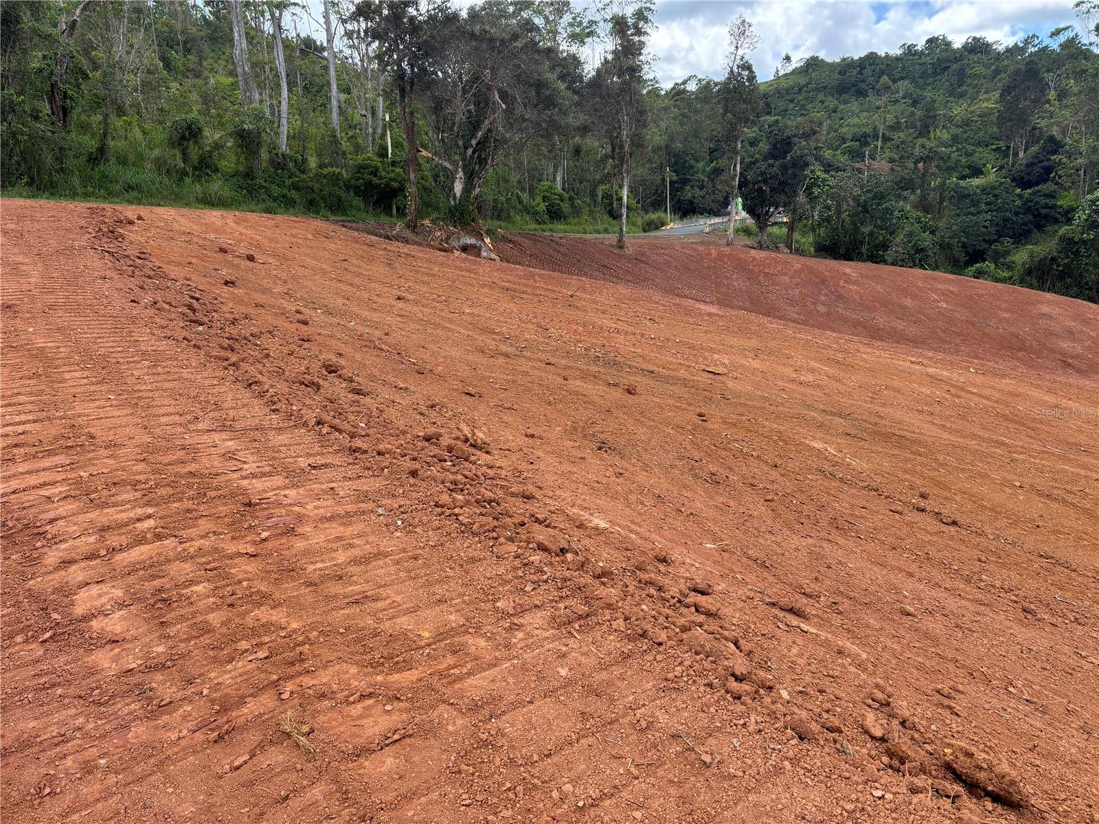 OROCOVIS — foto 3