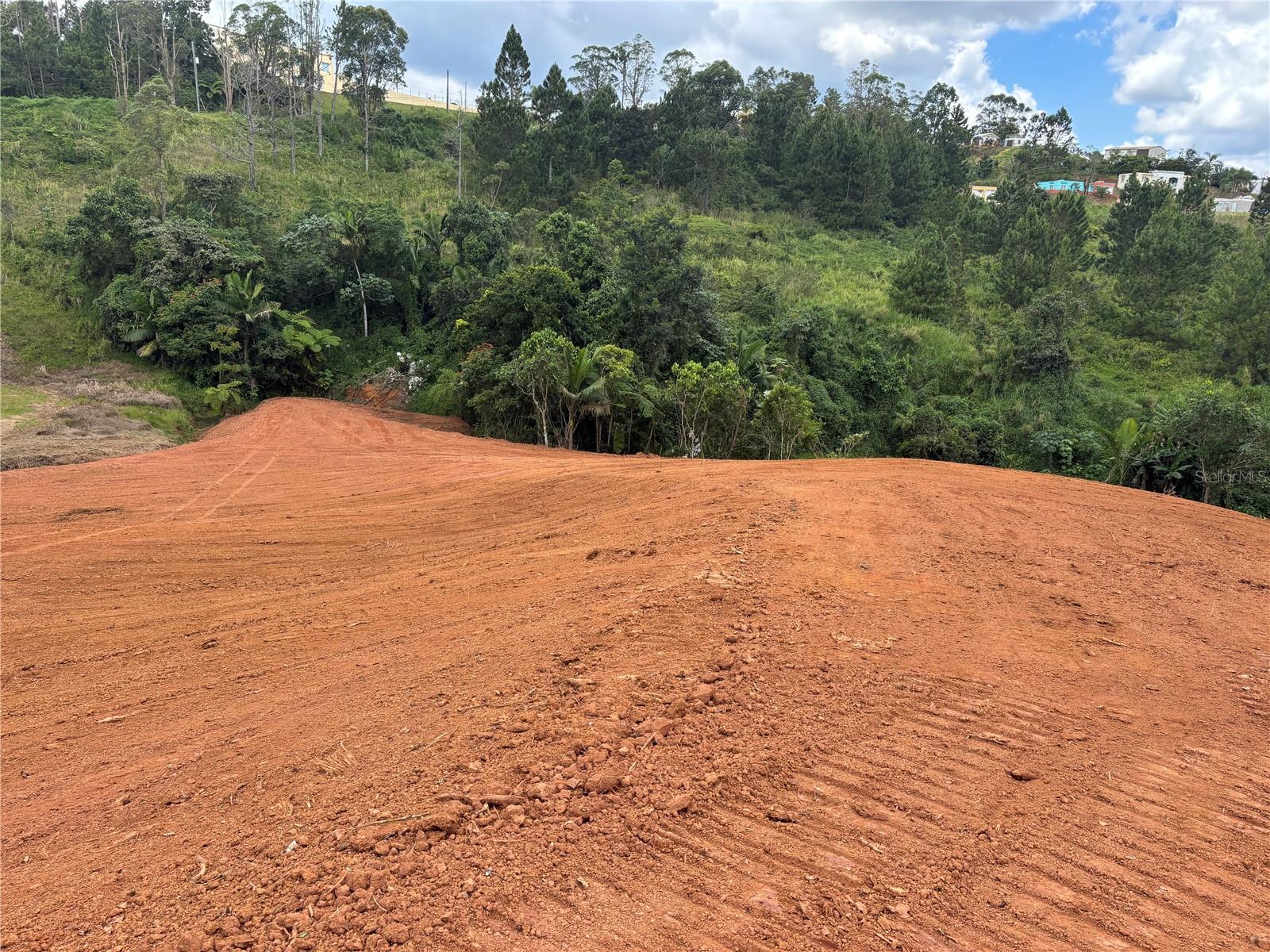OROCOVIS — foto 5