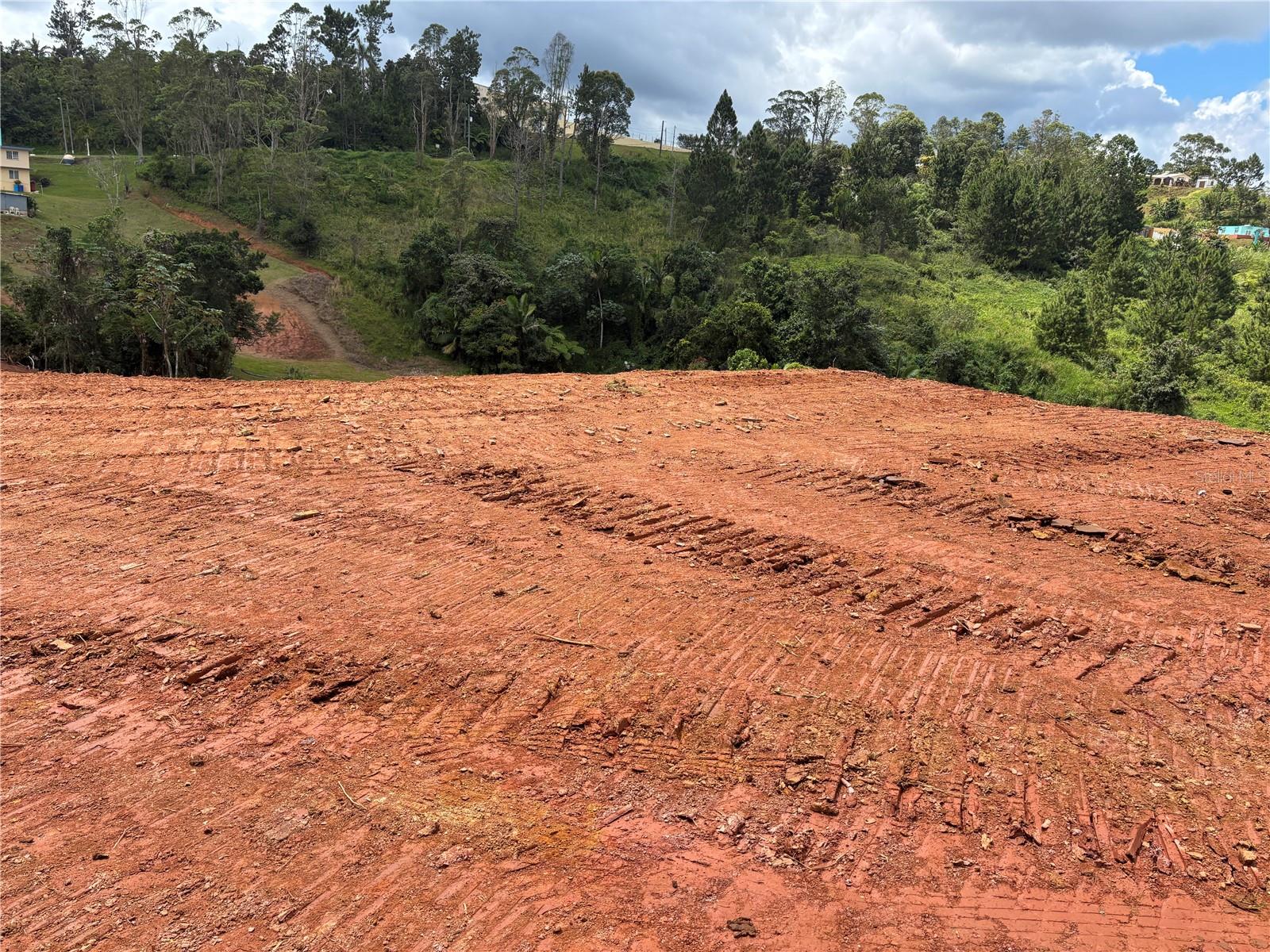 OROCOVIS — foto 6