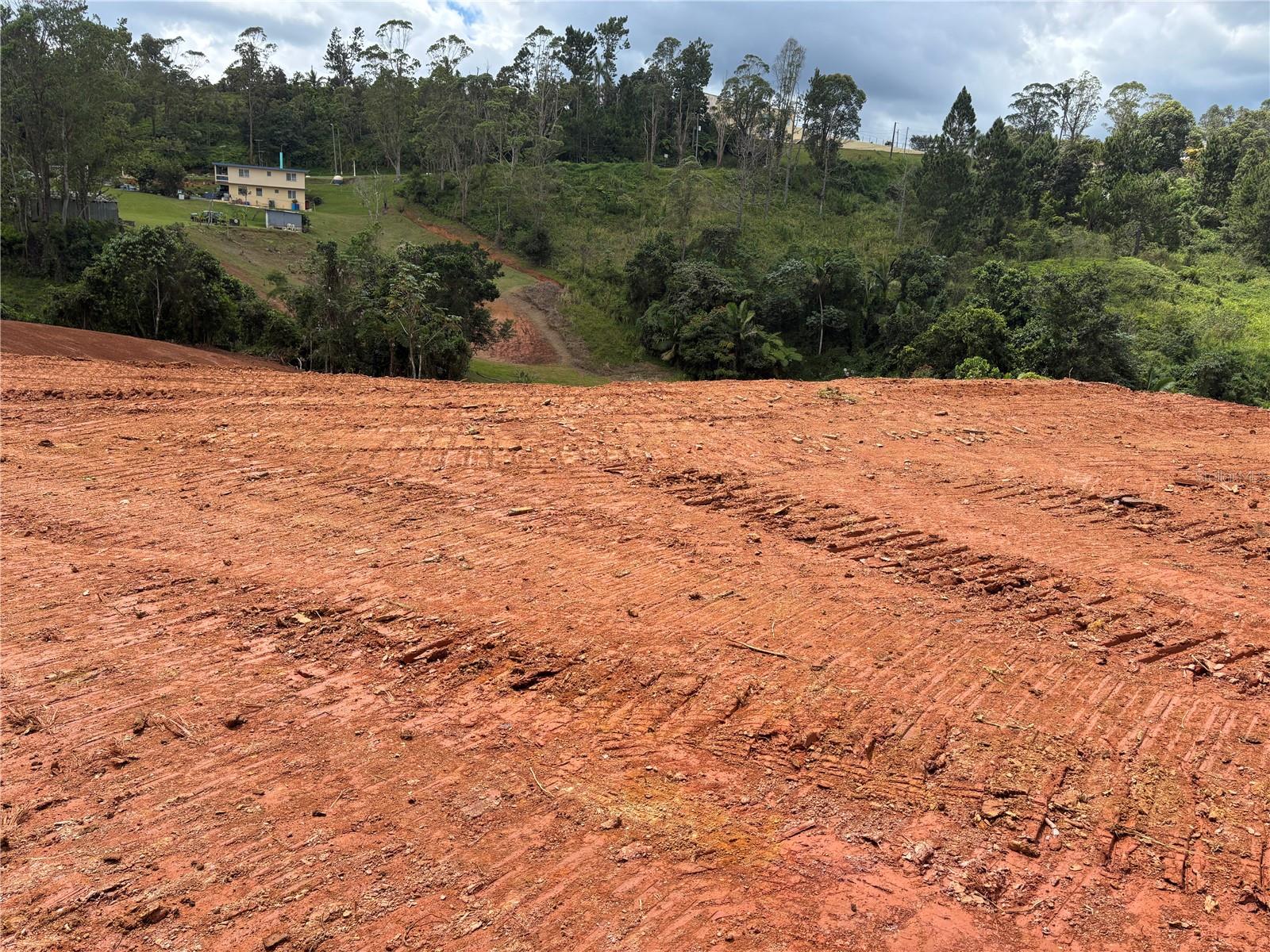 OROCOVIS — foto 9