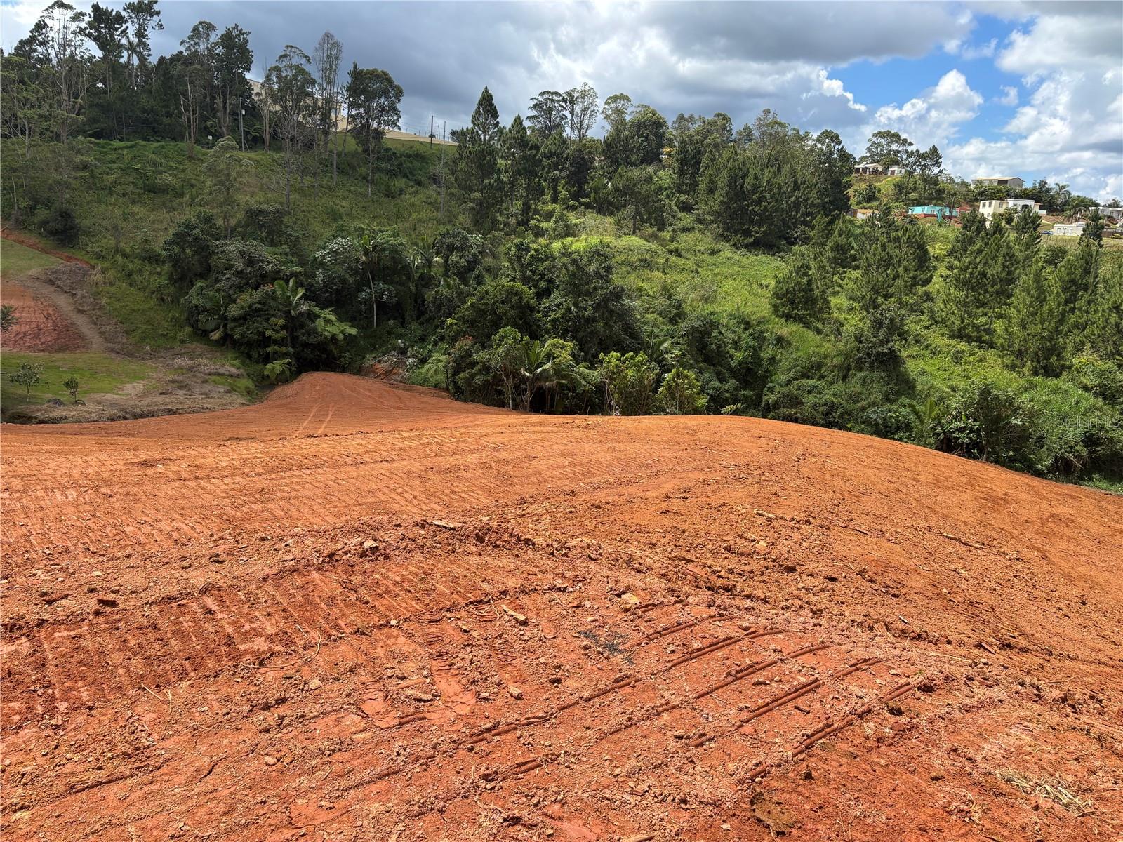 OROCOVIS — foto 10