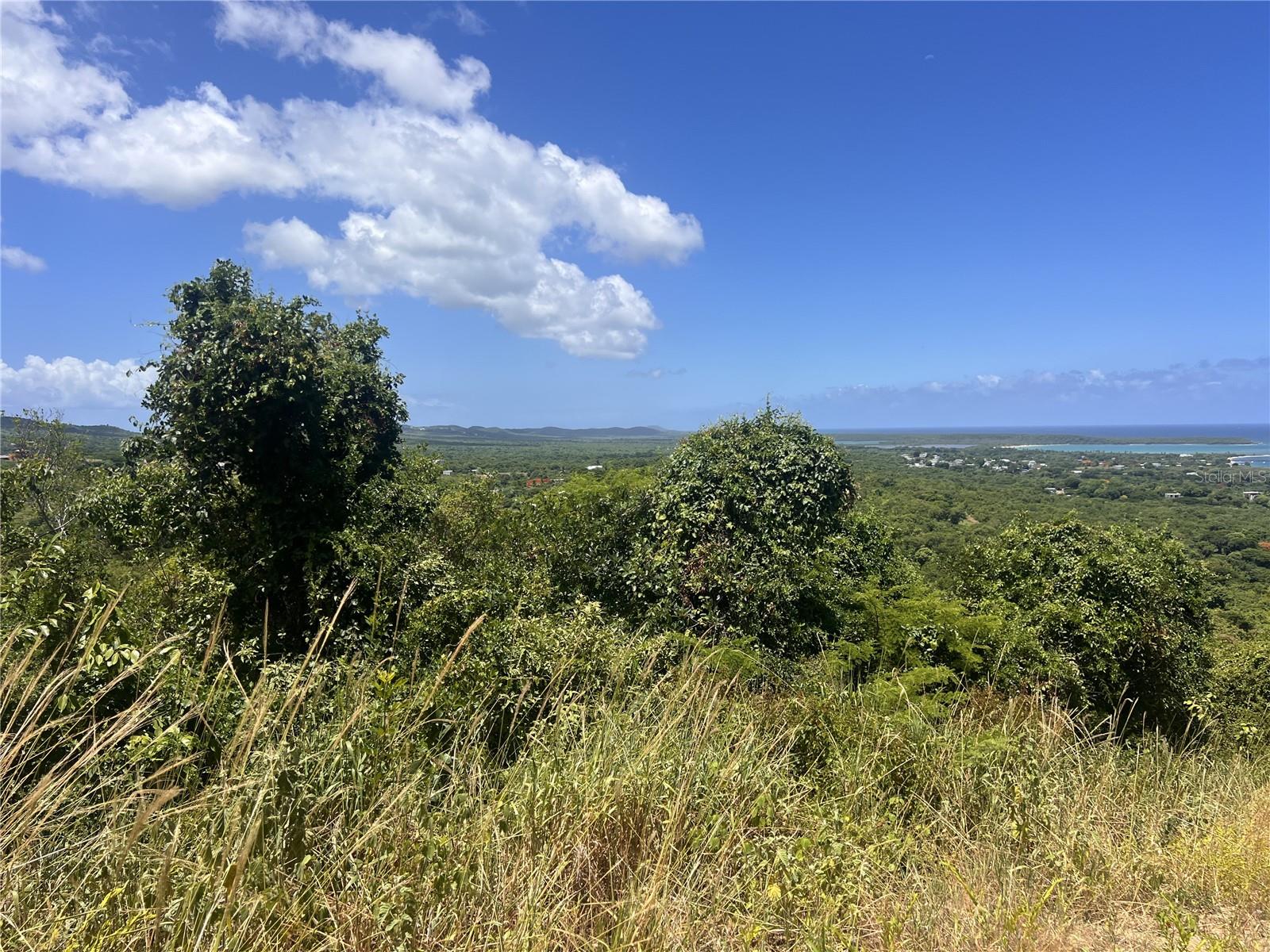 VIEQUES