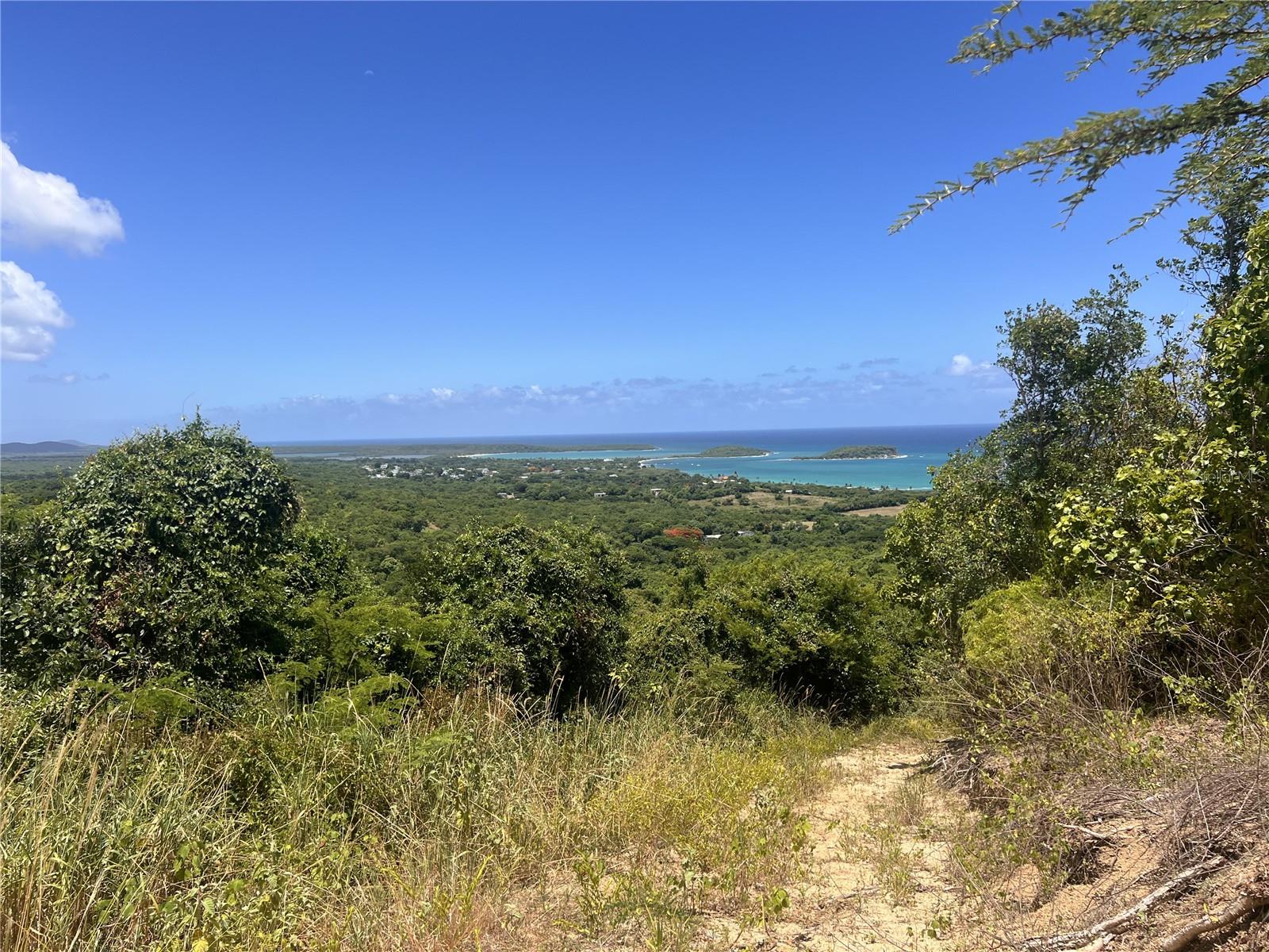 VIEQUES — foto 2