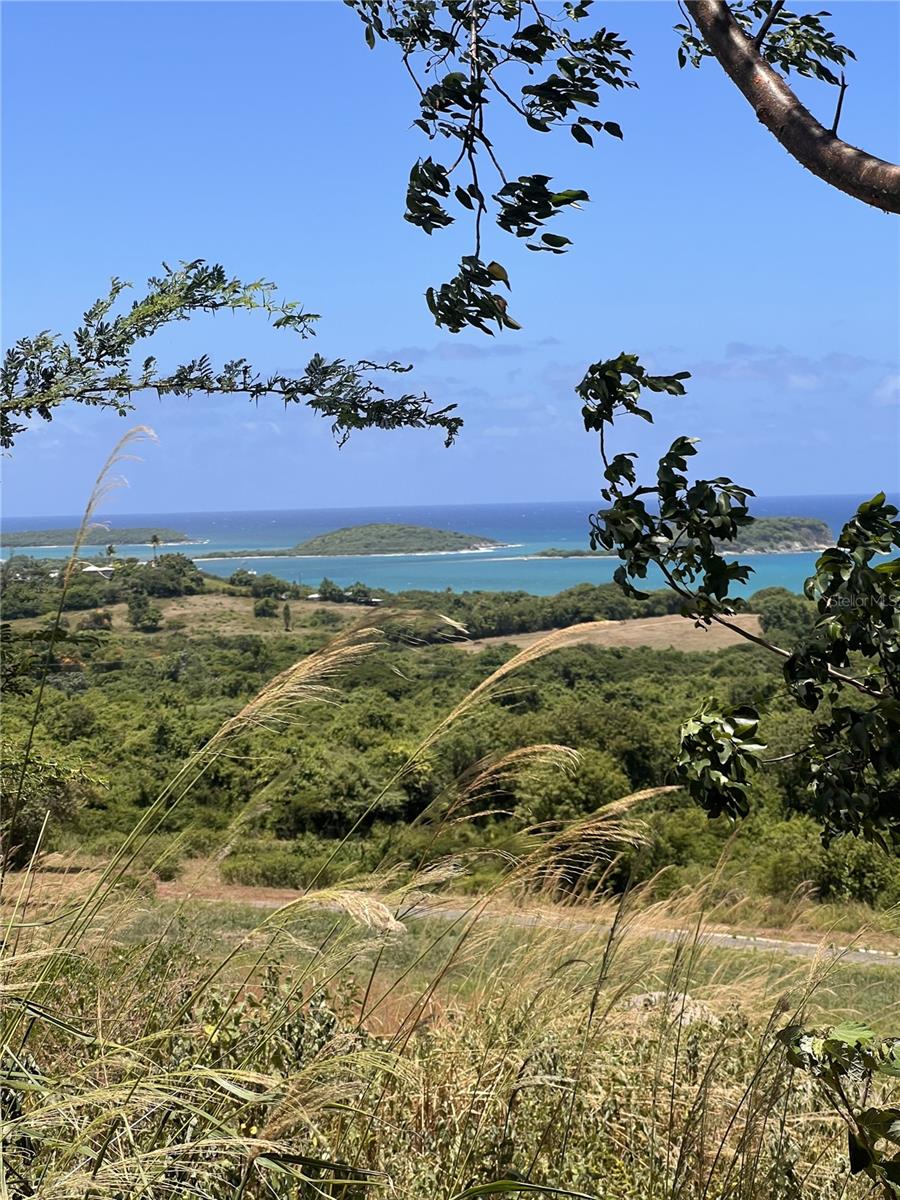 VIEQUES — foto 3