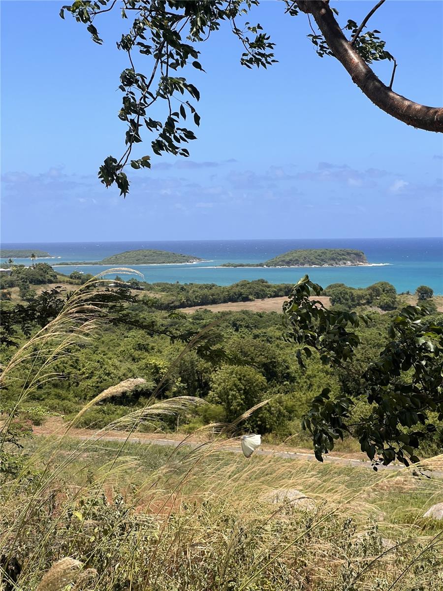 VIEQUES — foto 5