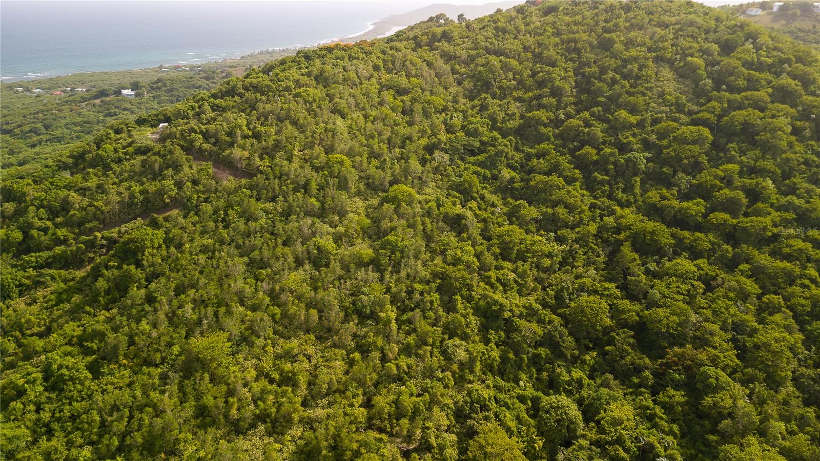 VIEQUES — foto 6