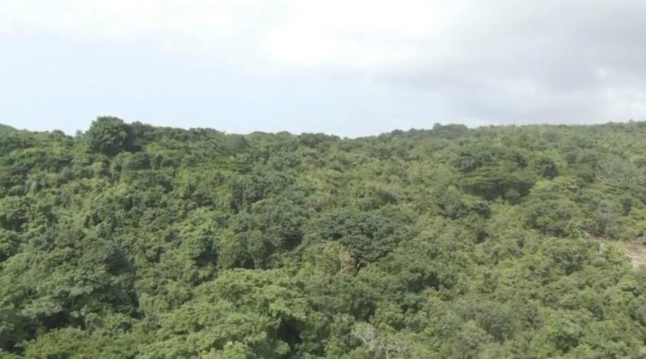 RIO GRANDE — foto 10