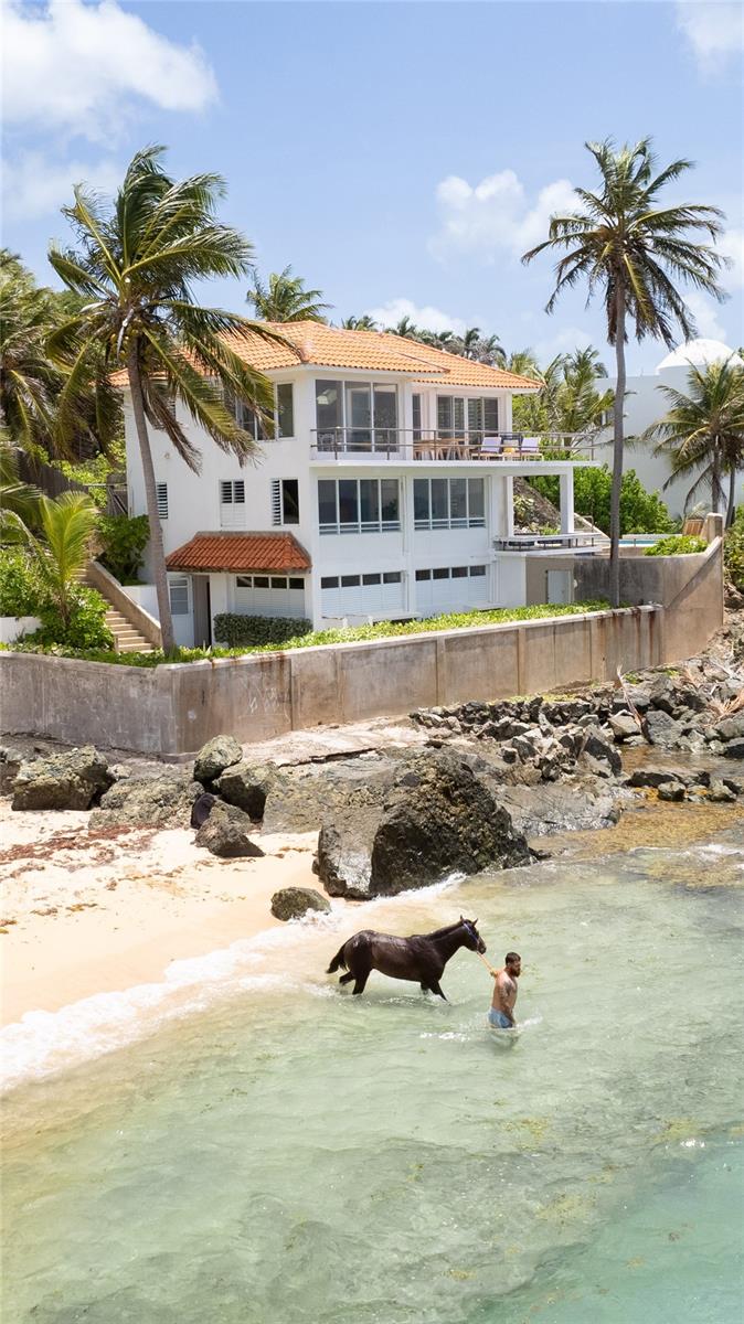 4 hab · 4 baños · VIEQUES — foto 4