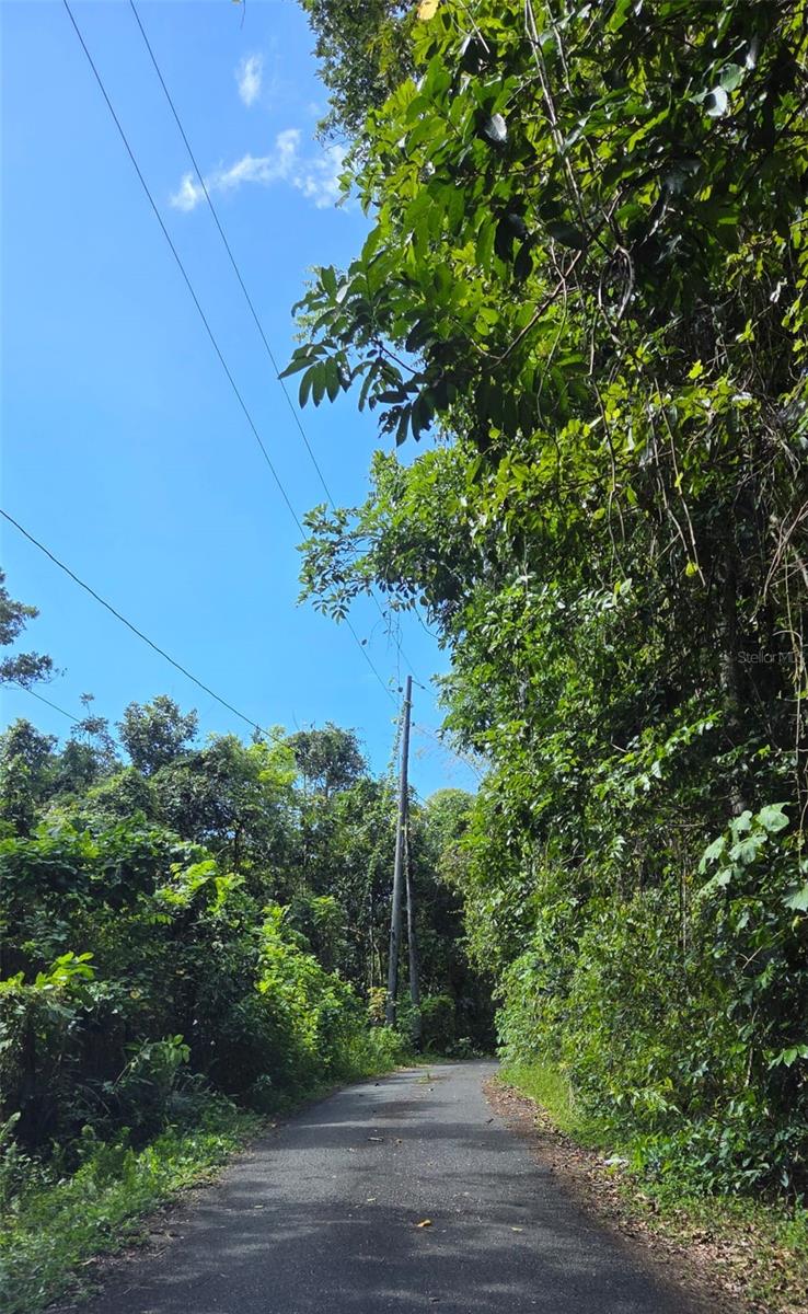 VEGA ALTA — foto 4