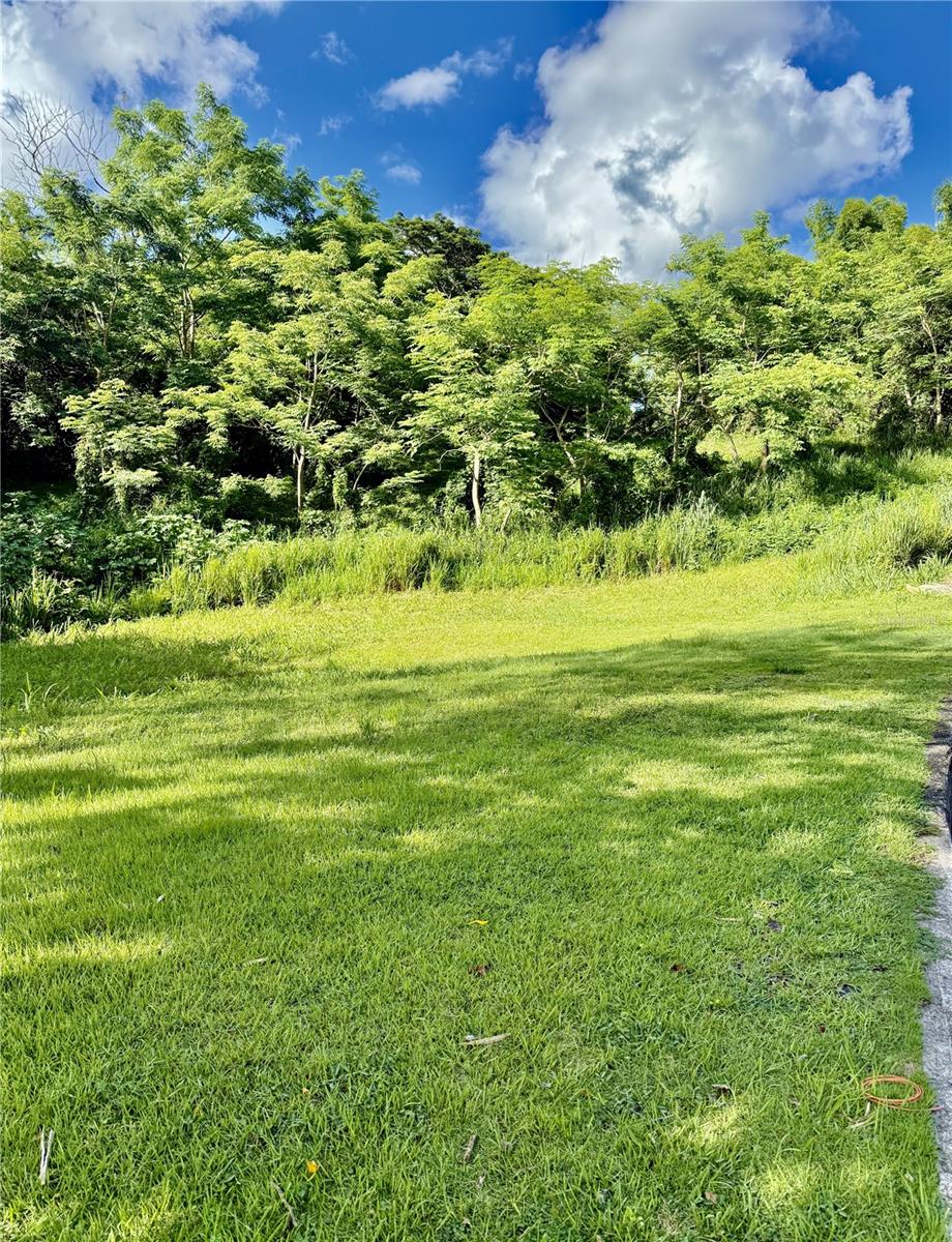 GUAYNABO — foto 2