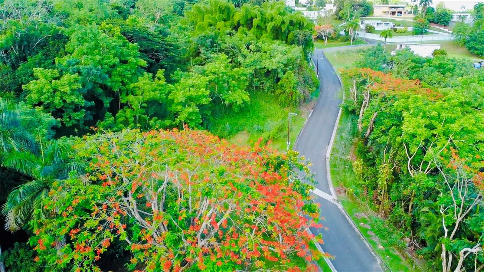 GUAYNABO — foto 11