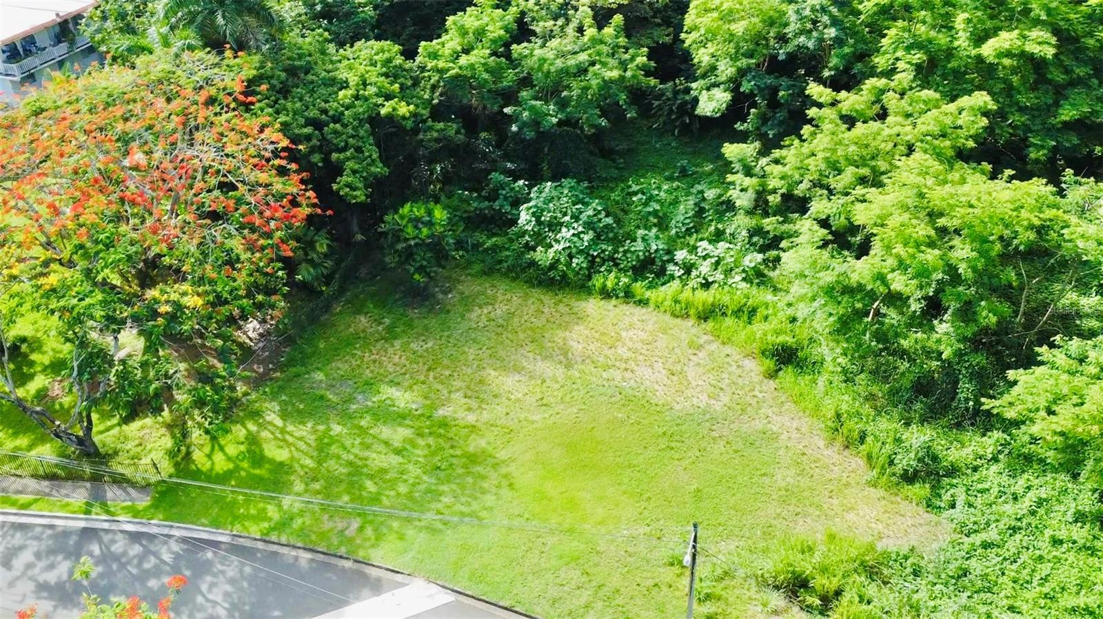 GUAYNABO — foto 7