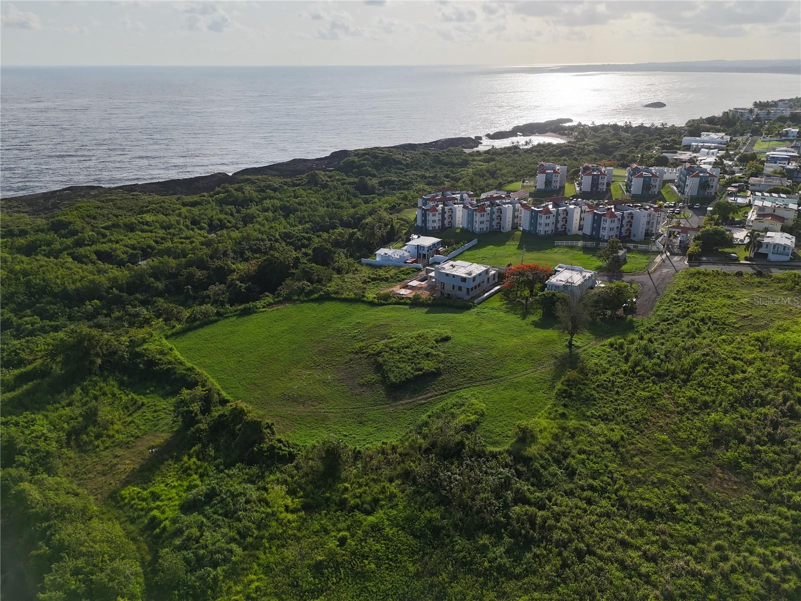 MANATI — foto 2
