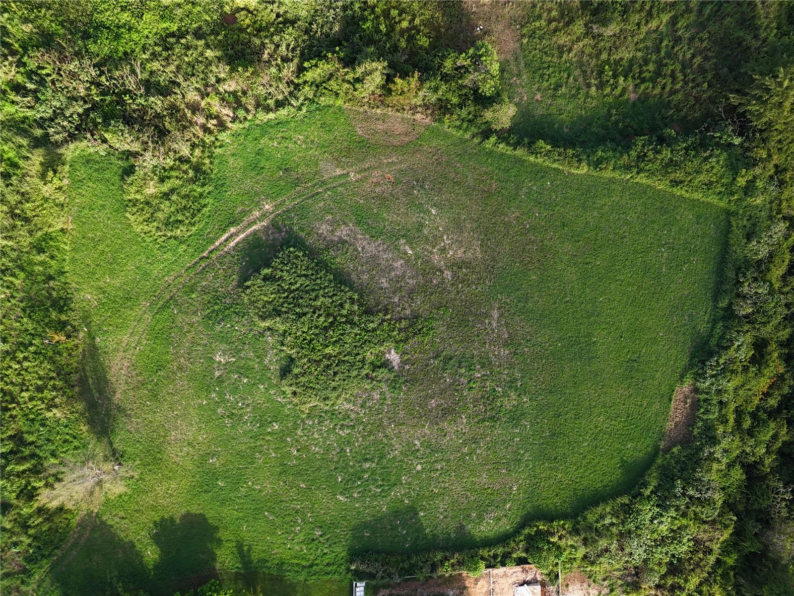 MANATI — foto 6