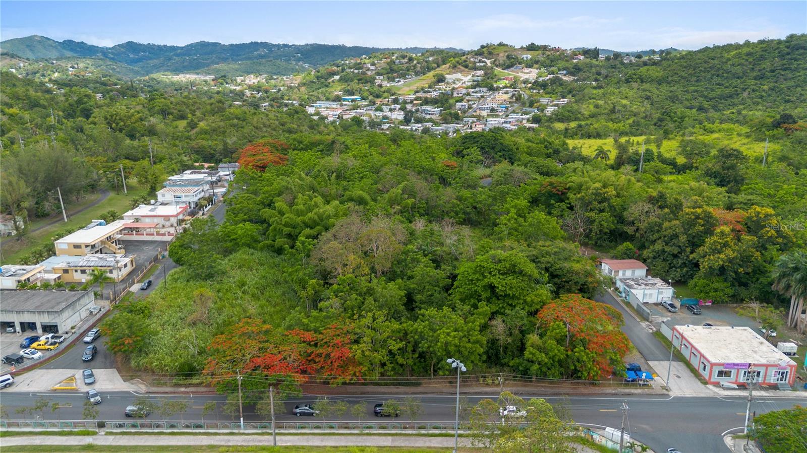 CAYEY
