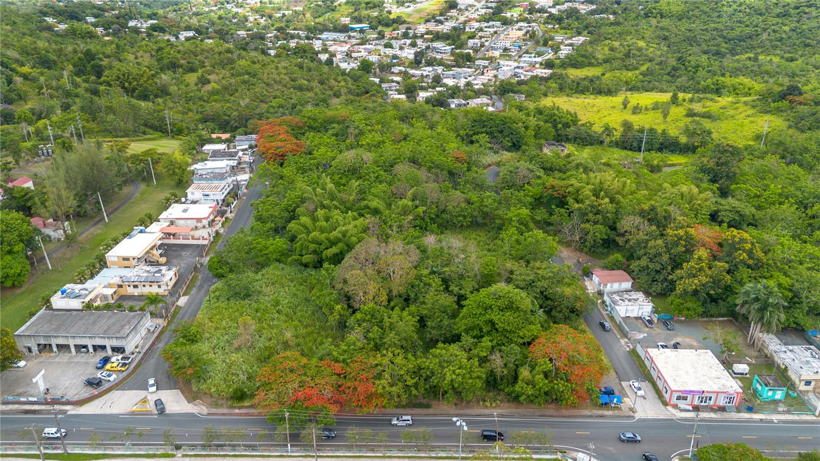 CAYEY — foto 2
