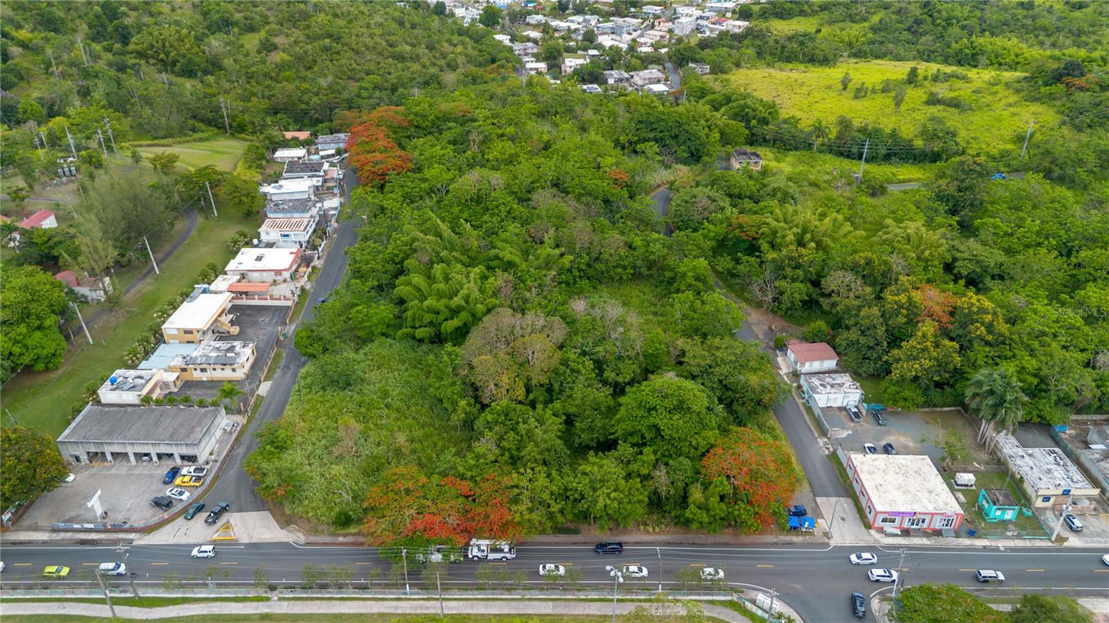 CAYEY — foto 3
