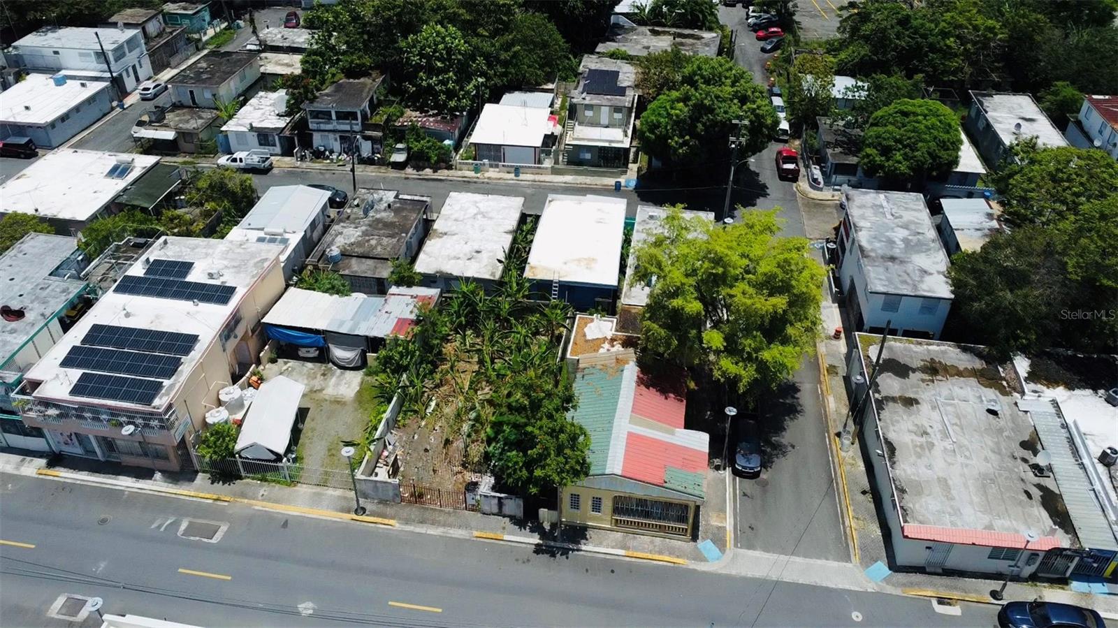 CAROLINA — foto 6