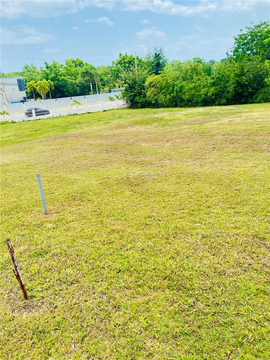 CABO ROJO — foto 3