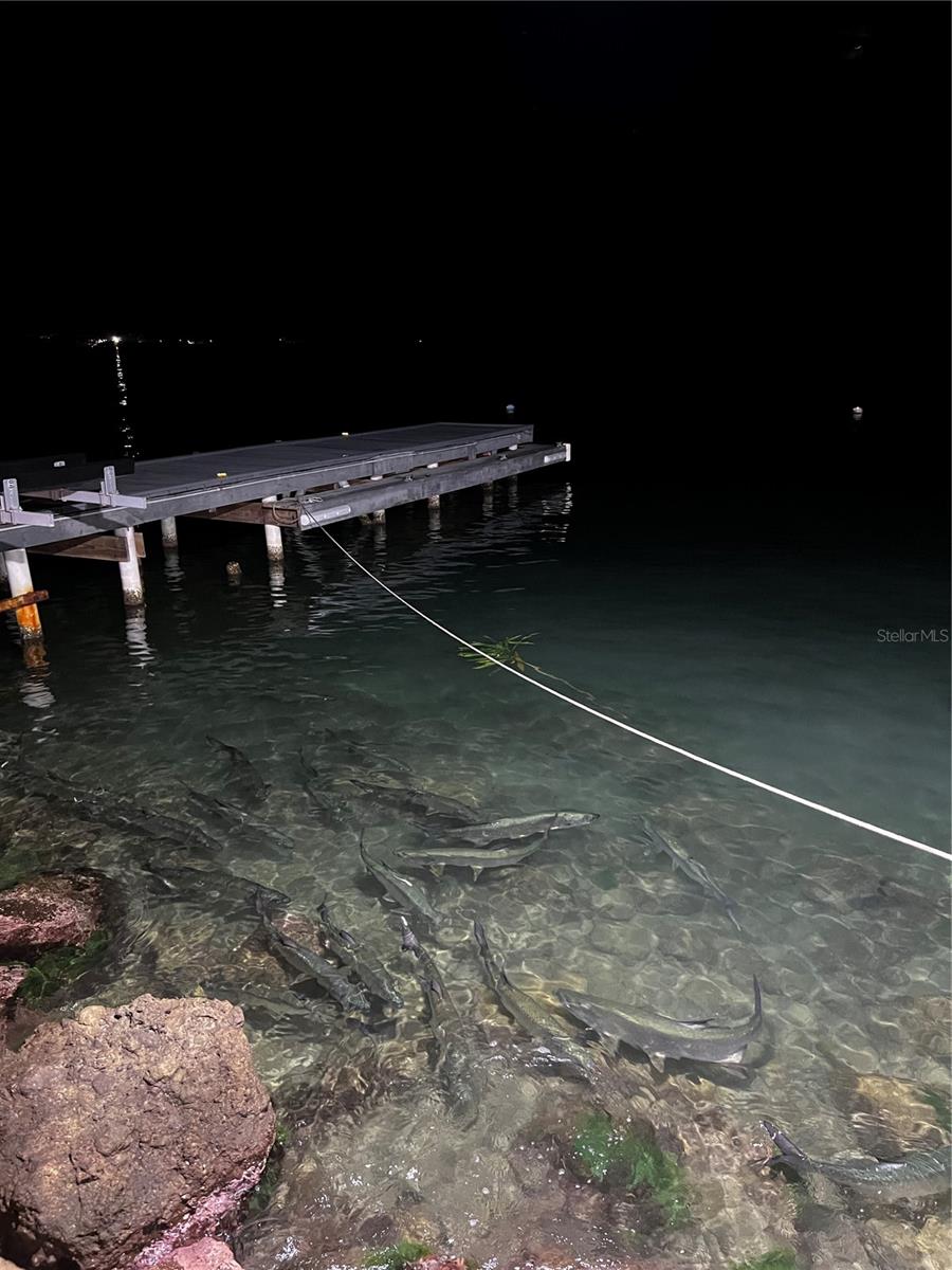 CABO ROJO — foto 5