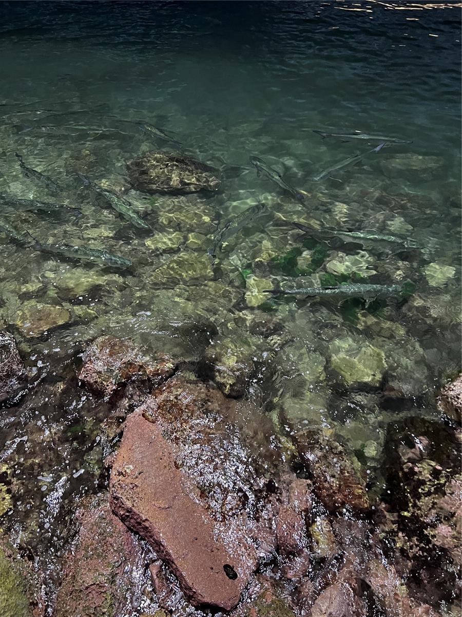 CABO ROJO — foto 6