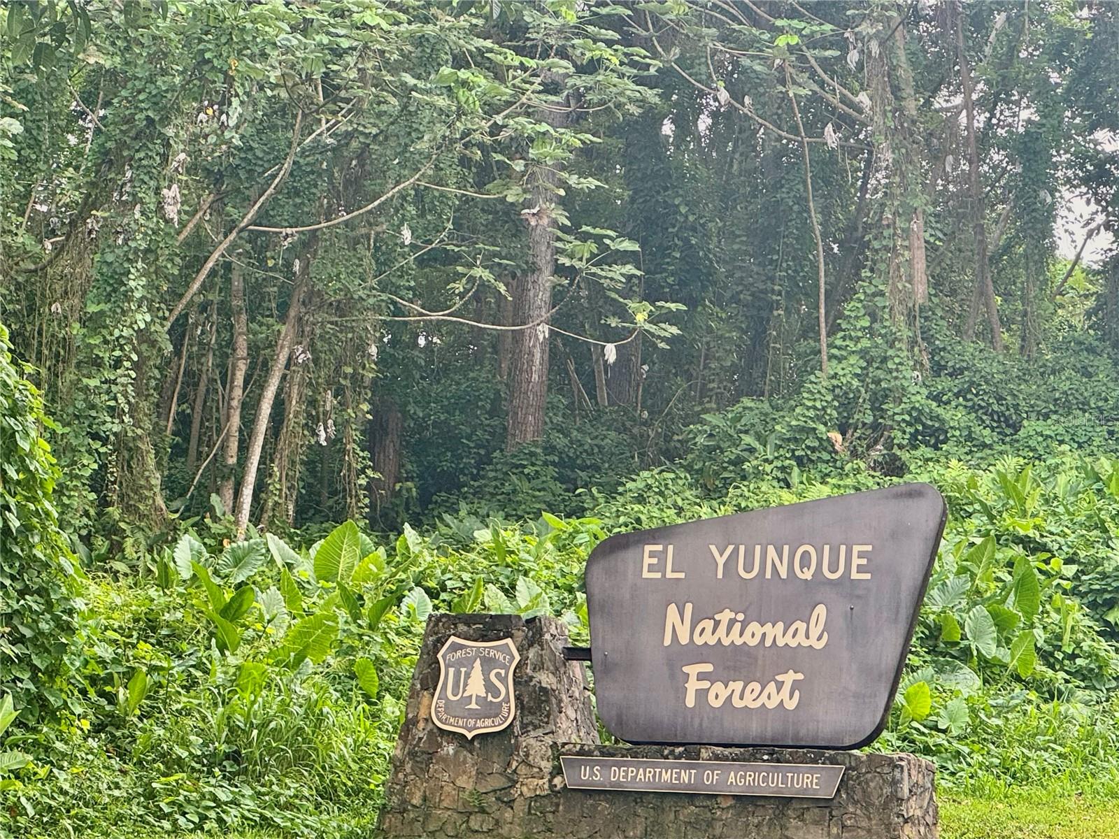 RIO GRANDE — foto 6