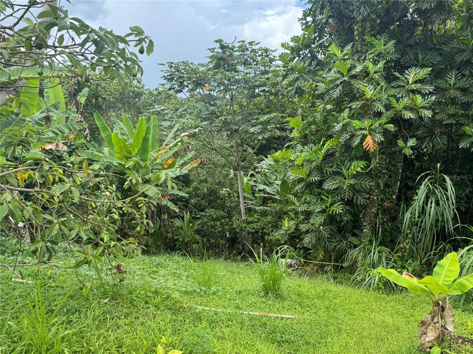 5 hab · 4 baños · UTUADO — foto 10