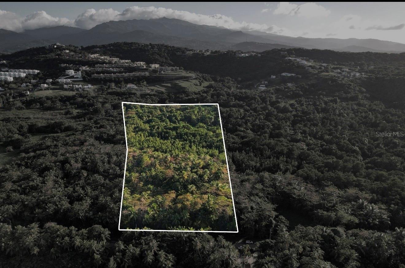 RIO GRANDE — foto 2