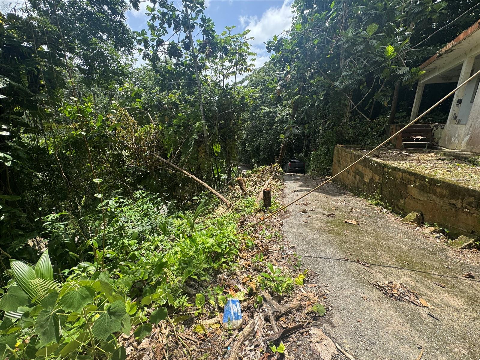 3 hab · 2 baños · UTUADO — foto 12