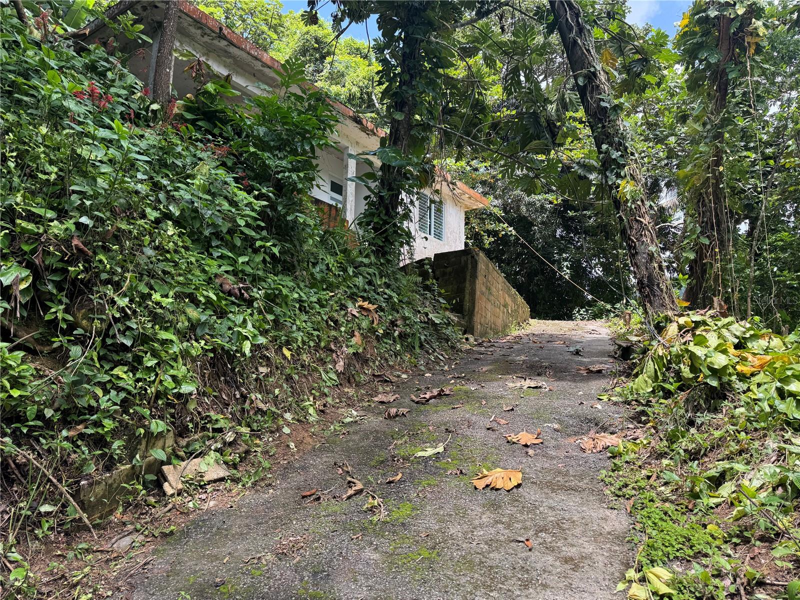 3 hab · 2 baños · UTUADO — foto 5