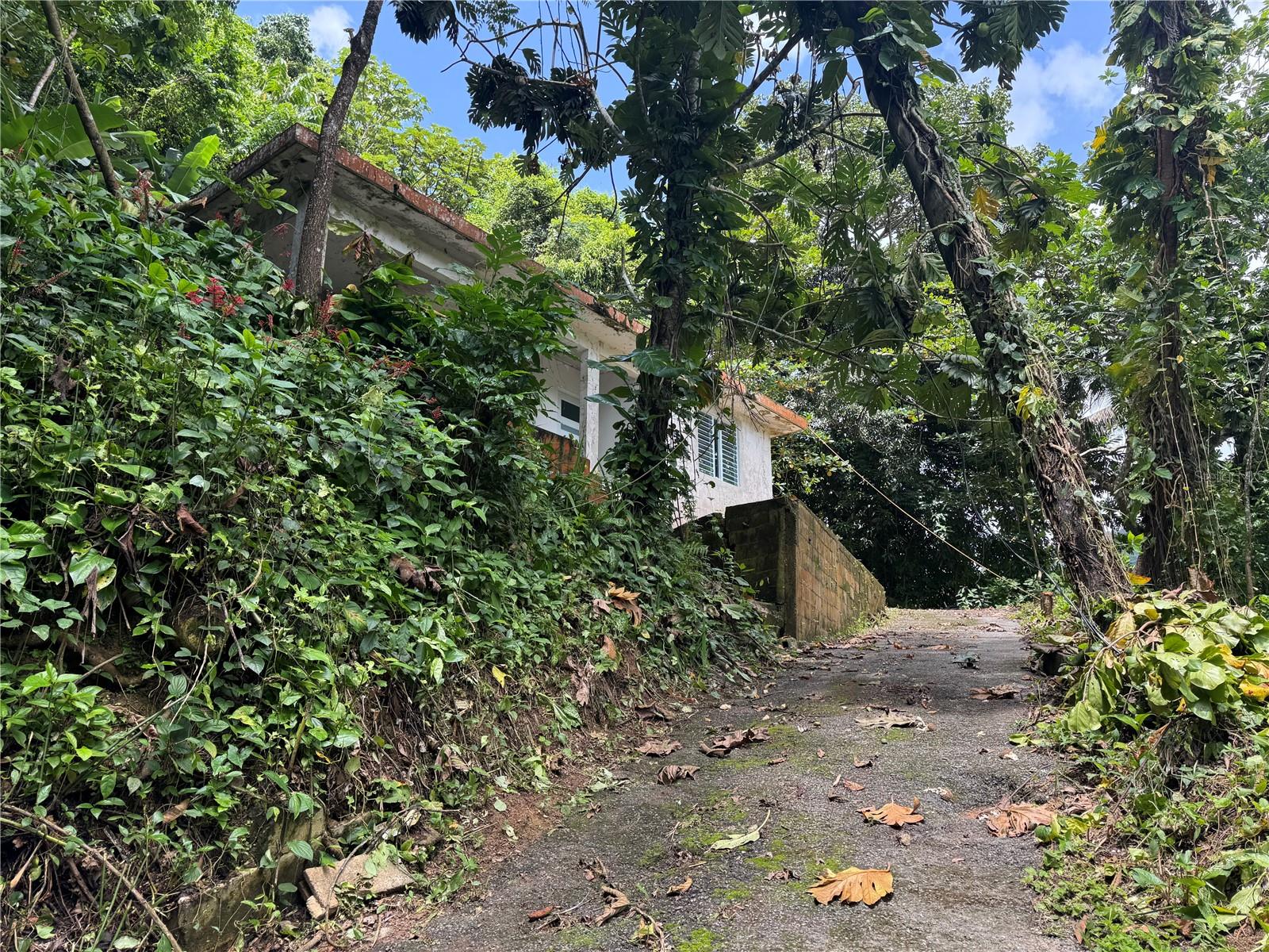 3 hab · 2 baños · UTUADO — foto 6